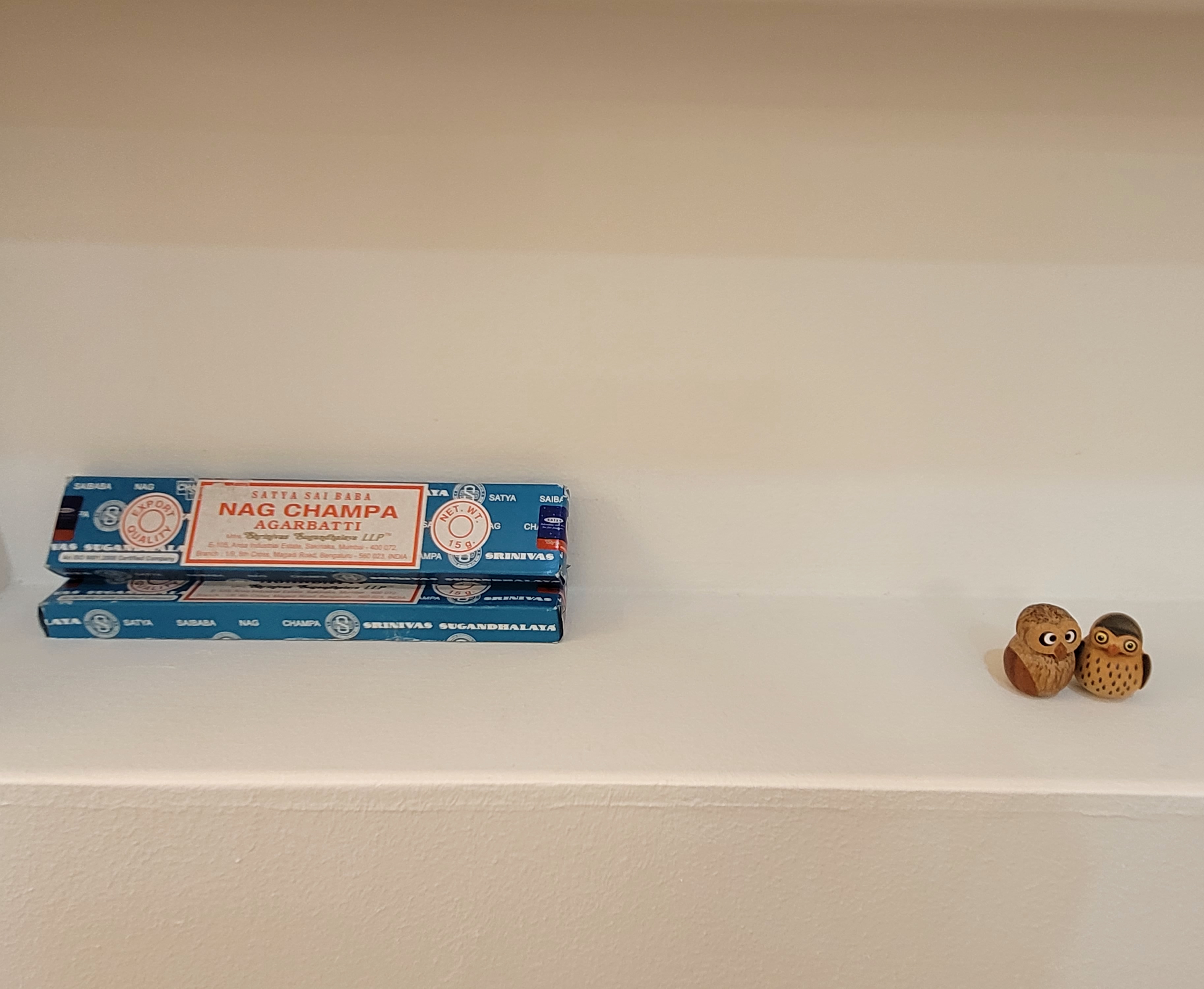 영 요가+명상 대표 이미지