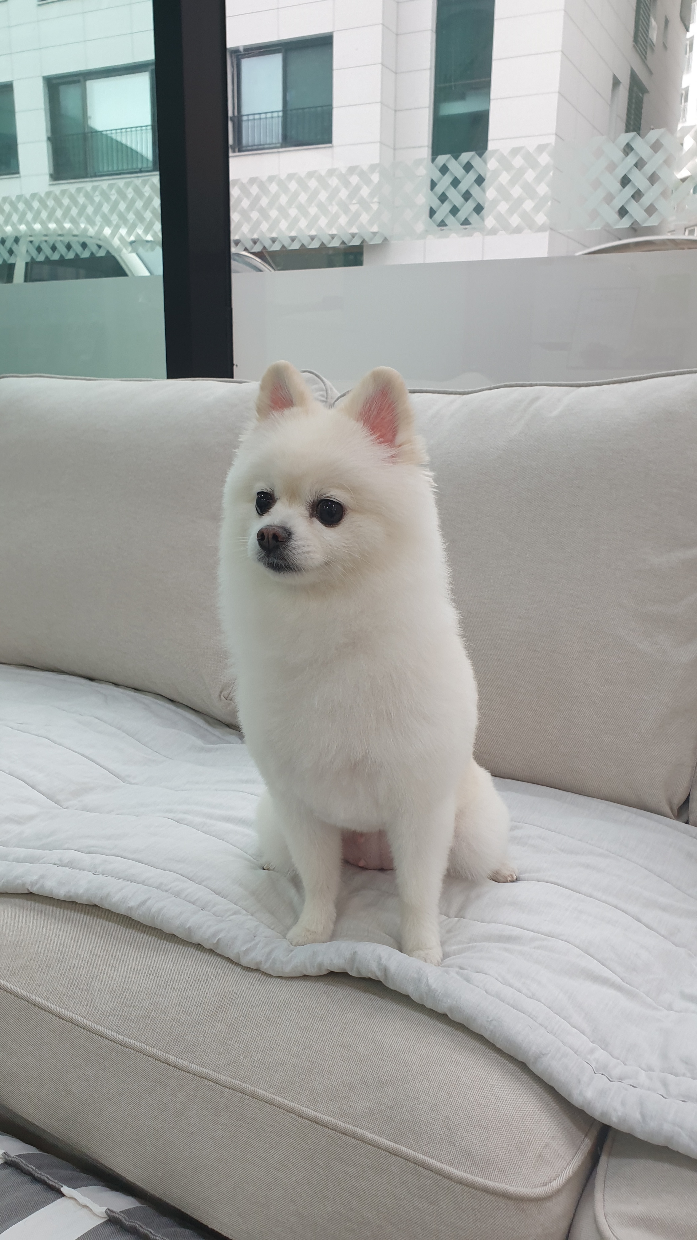 산책가는날 3