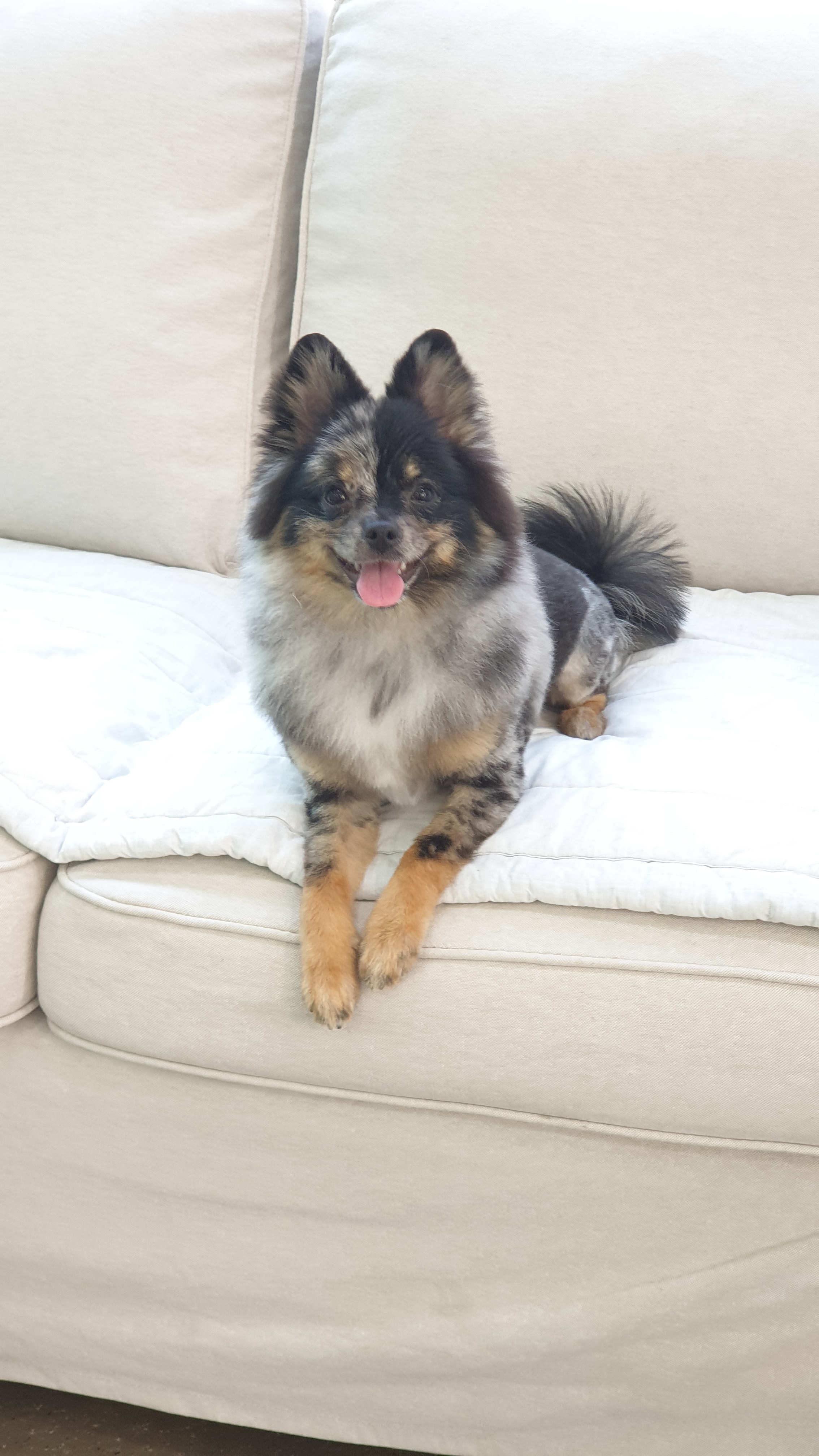 산책가는날 대표 이미지