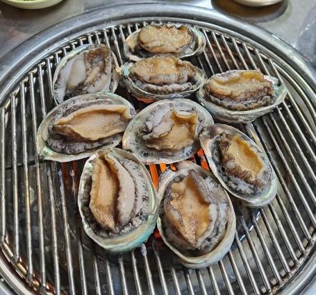 통통민물장어