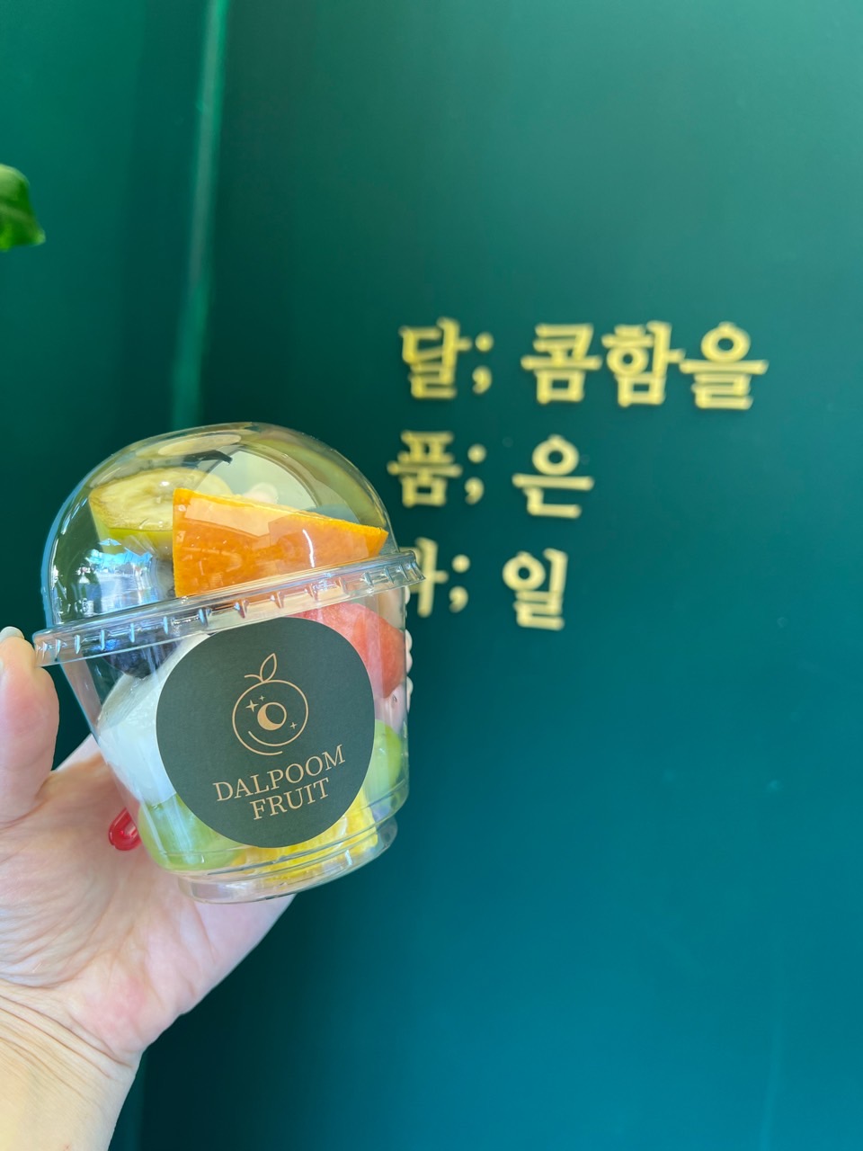달품과