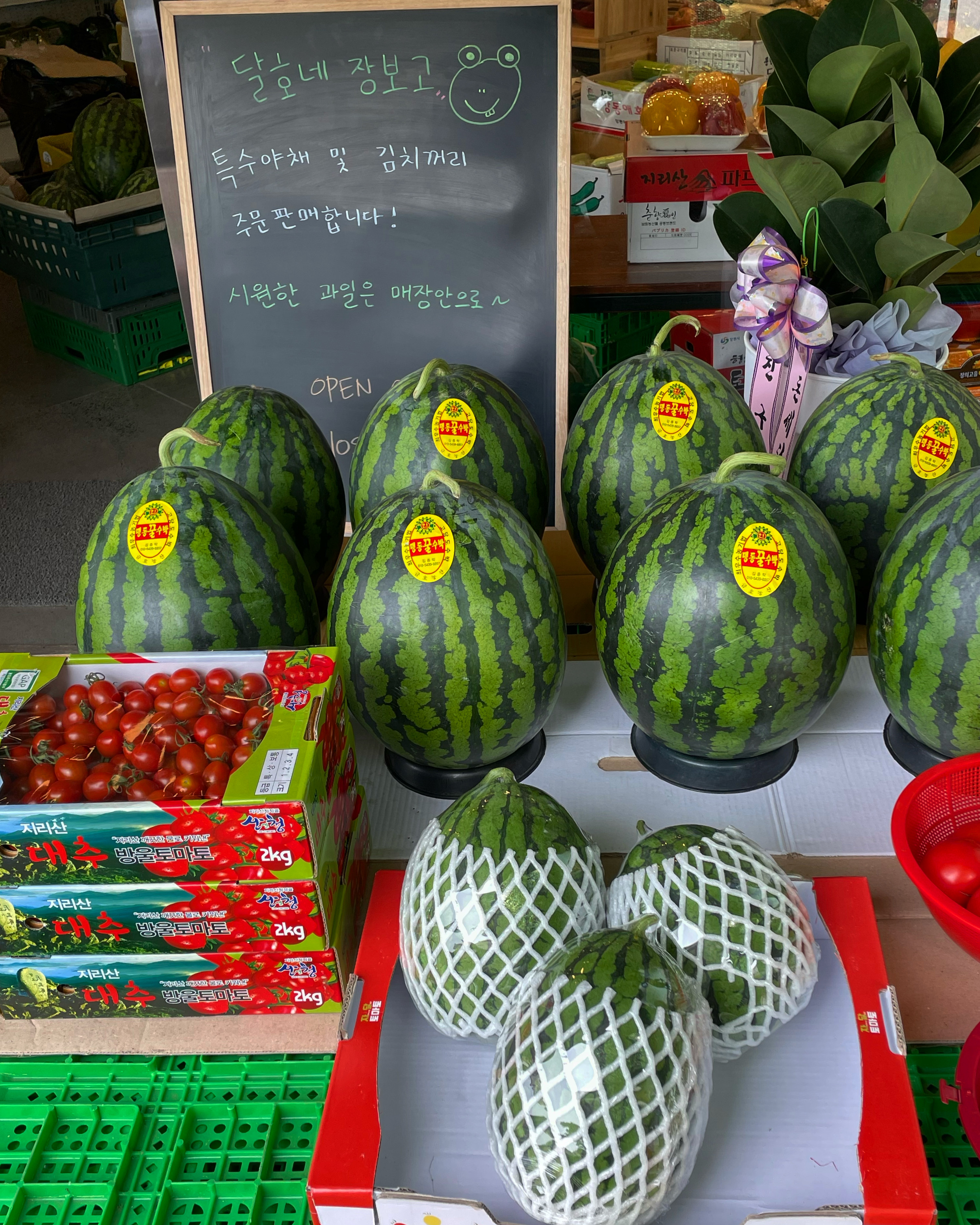 달호네 장보고