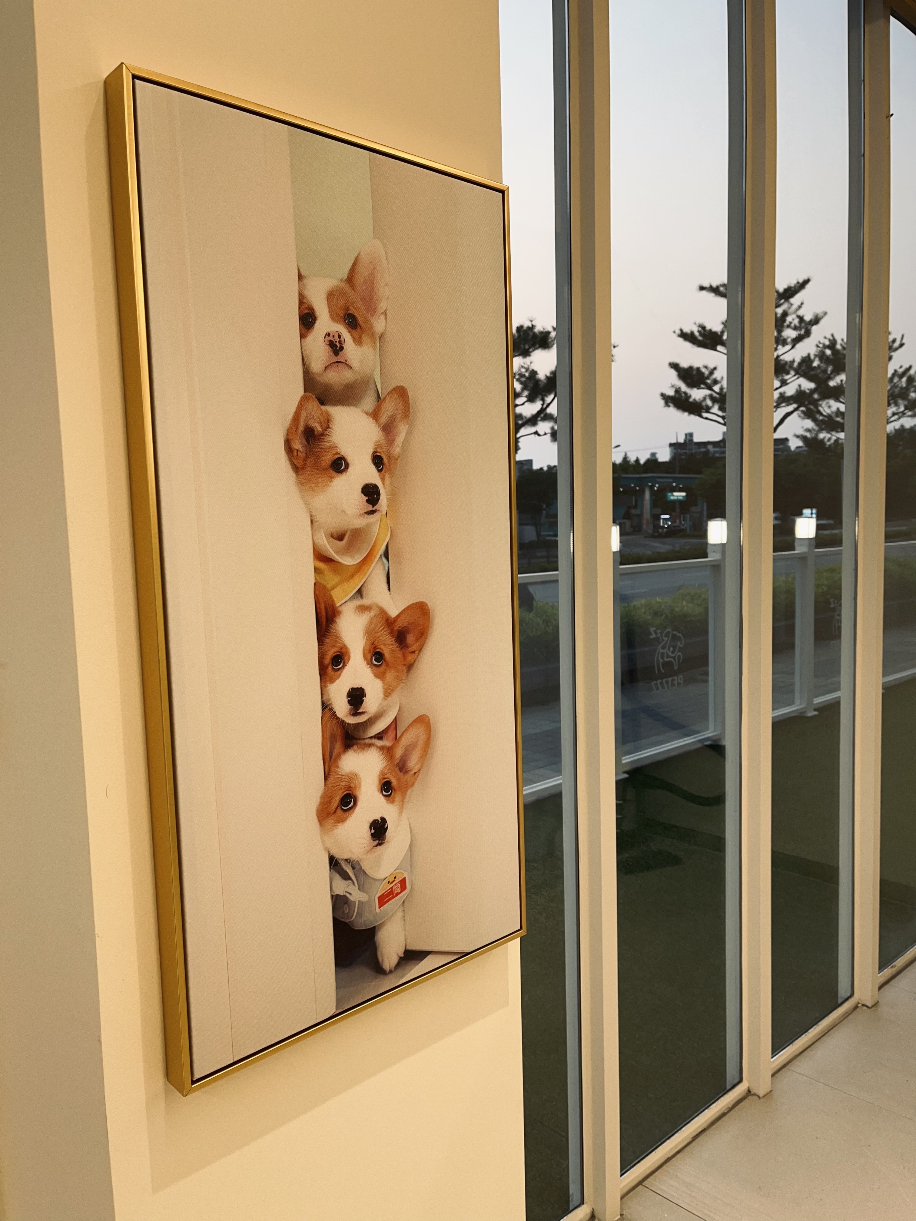 펫즈 대표 이미지