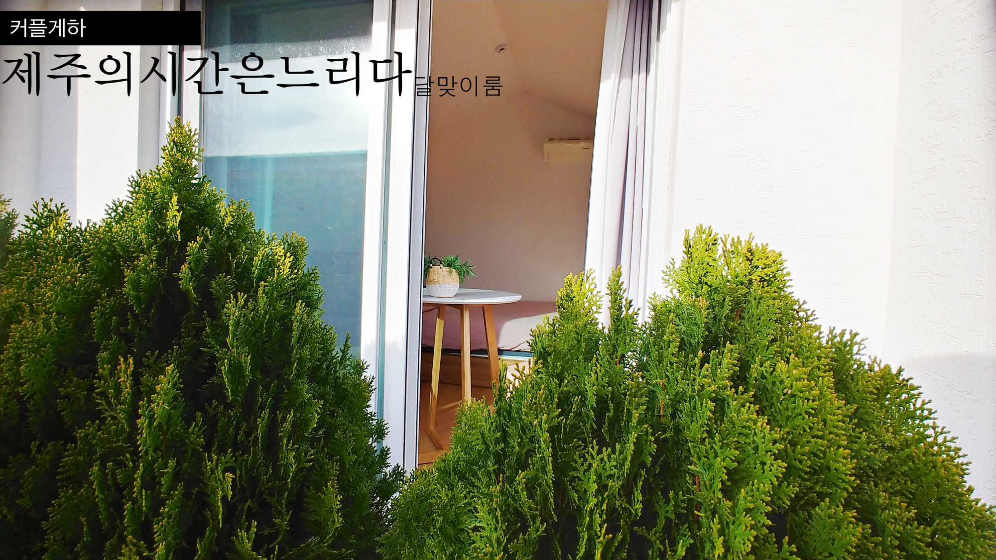 제주의시간은느리다