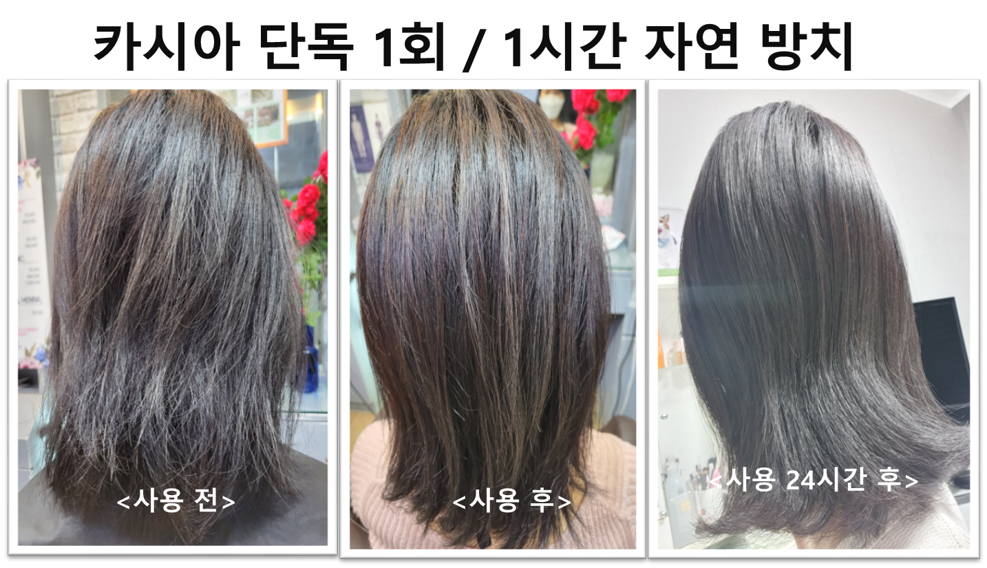 하라힐즈헤나. 탈모관리.두피케어