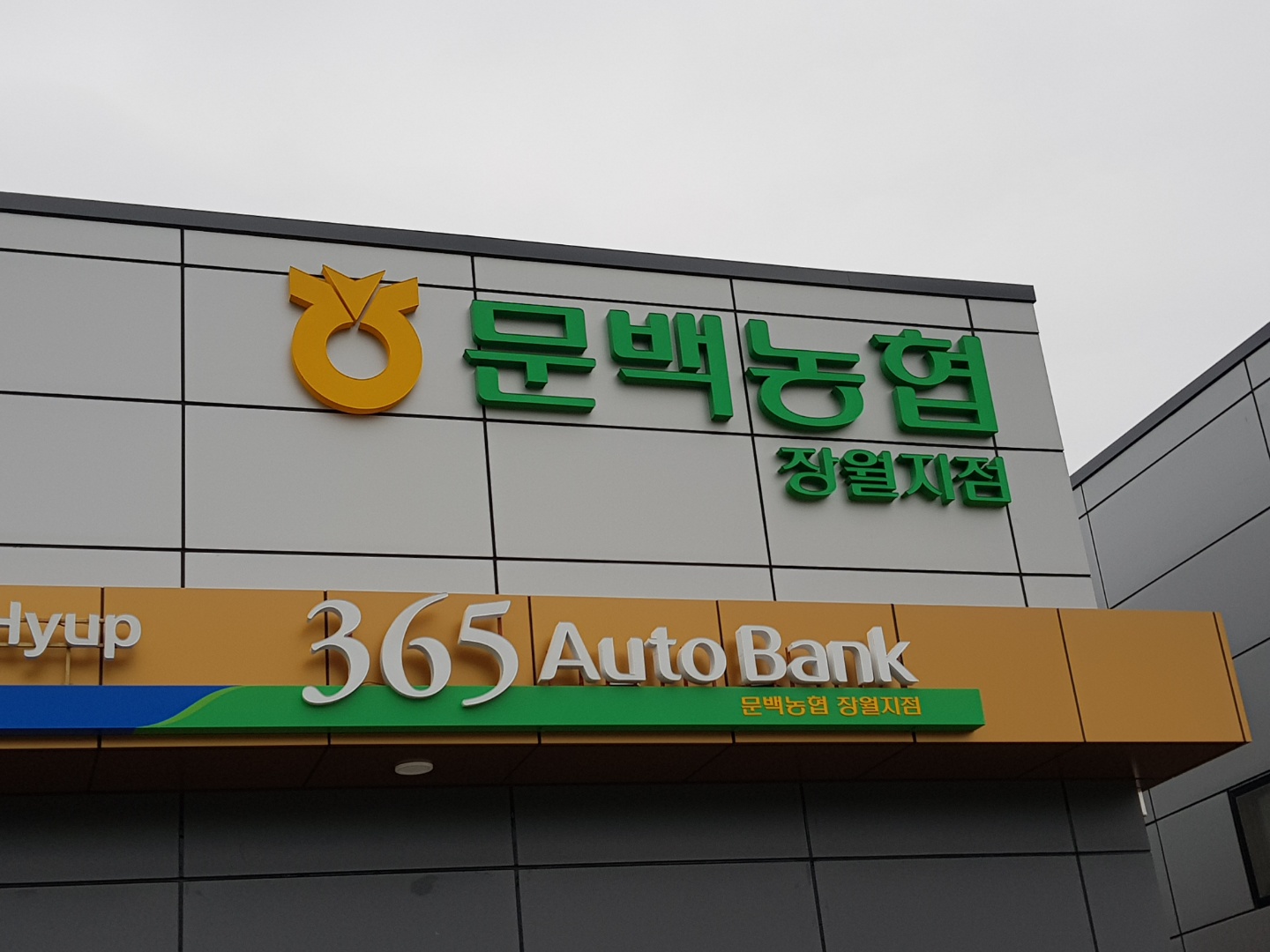 광고기획대교