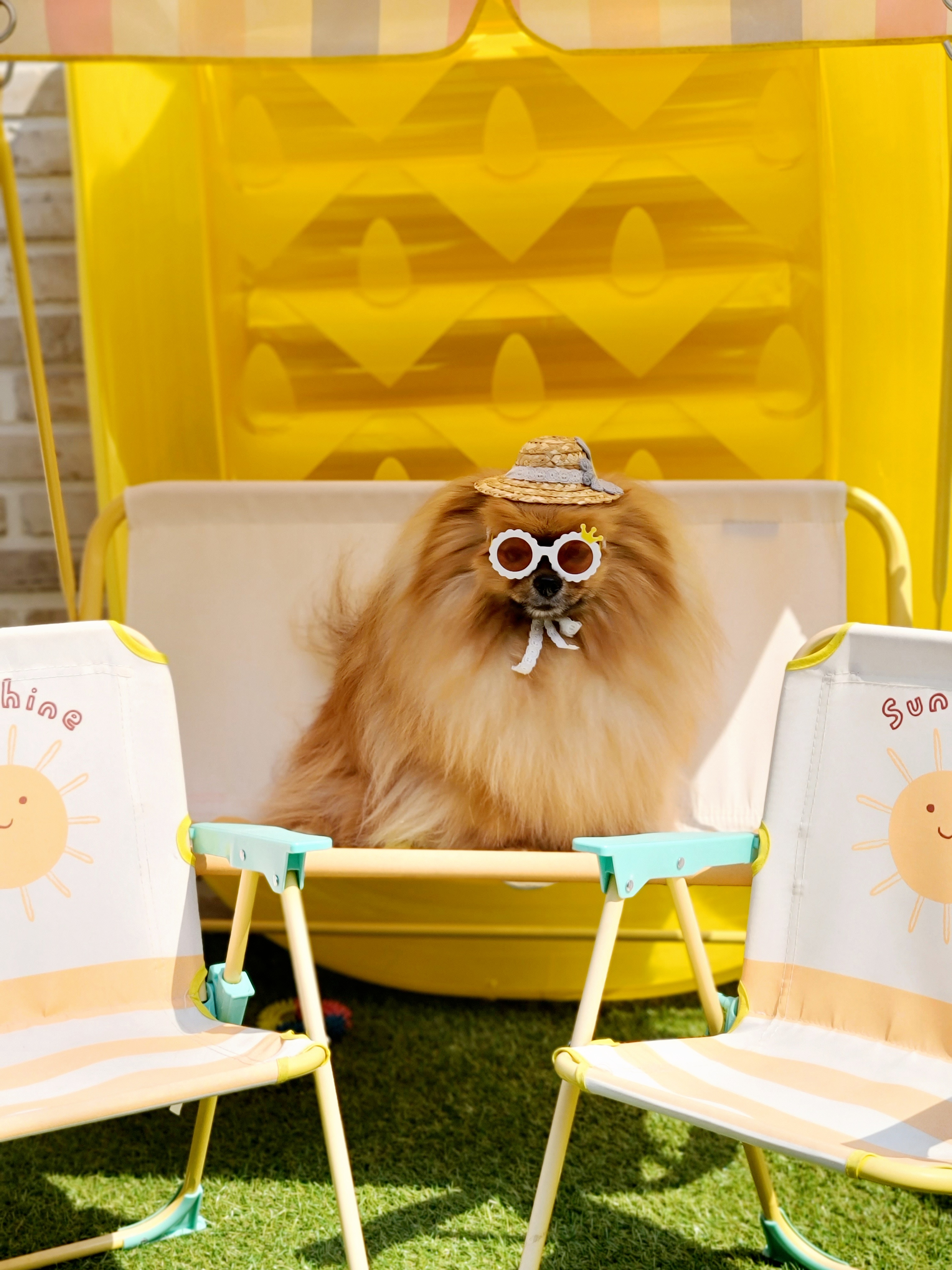 코코앤몽 펫카페 대표 이미지