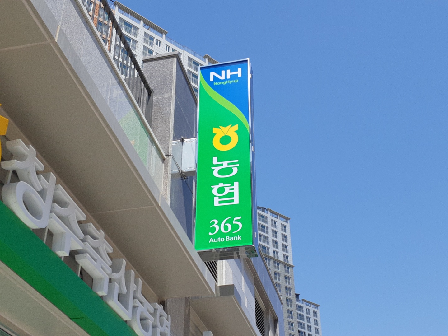 광고기획대교