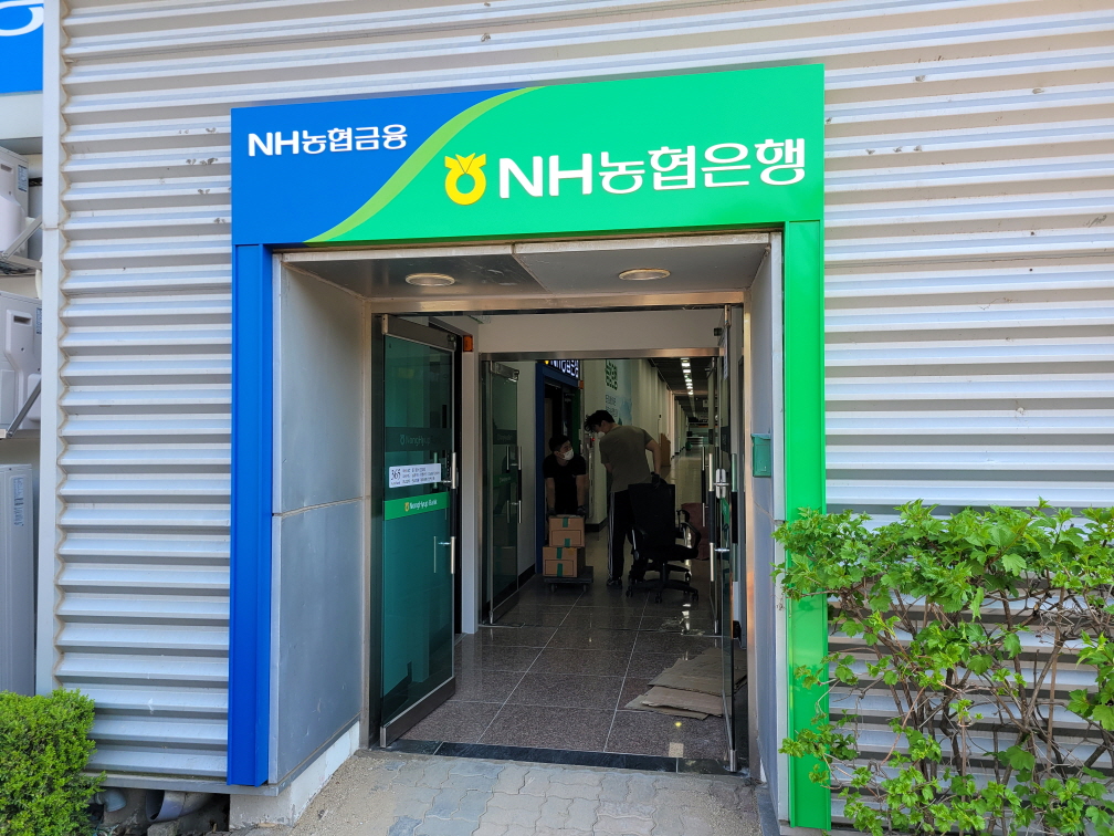 광고기획대교