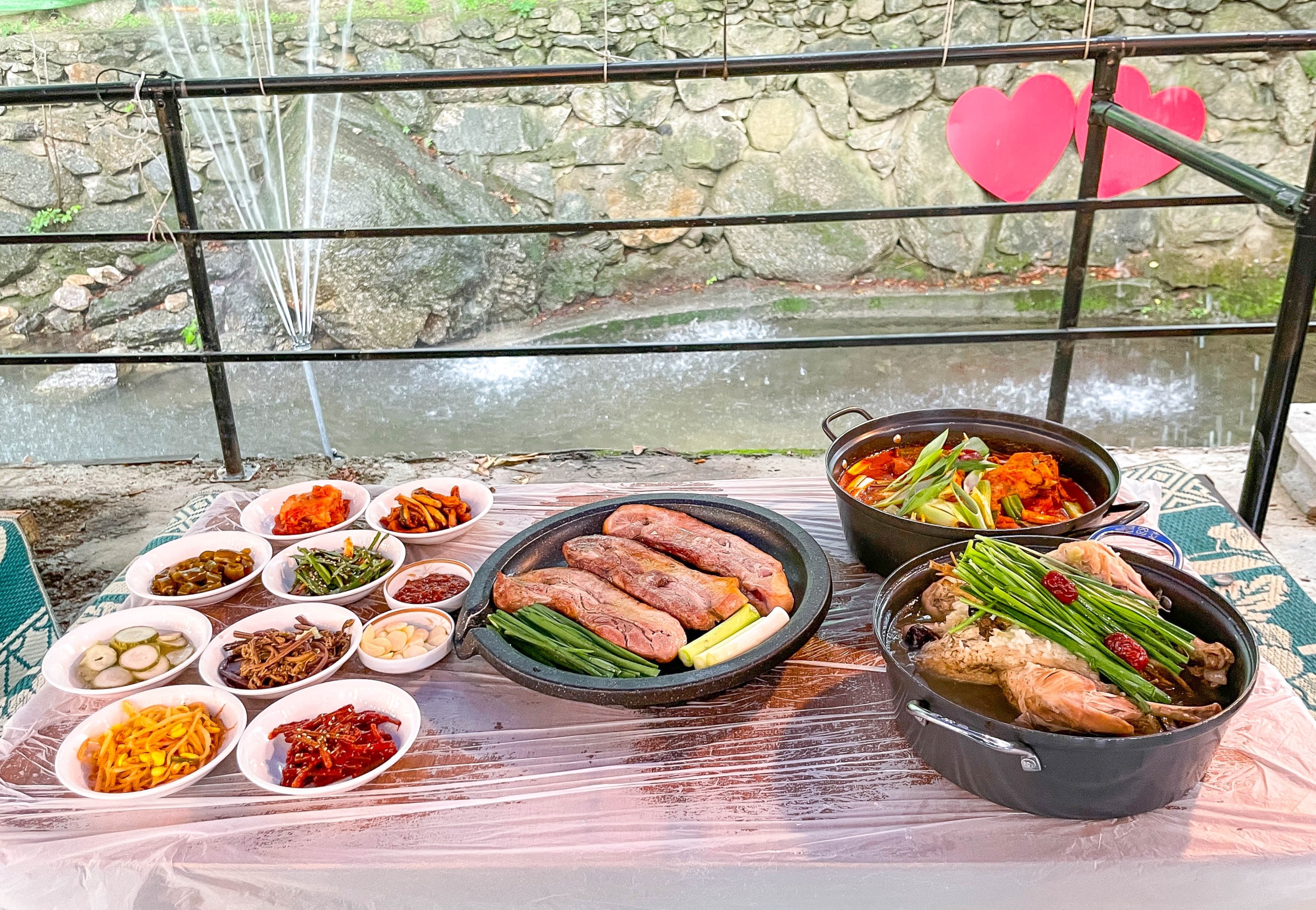 마당바위 장흥본점 반려동물 동반 애견카페