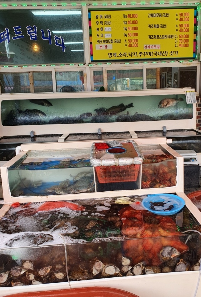 오천수산물센터 9호점