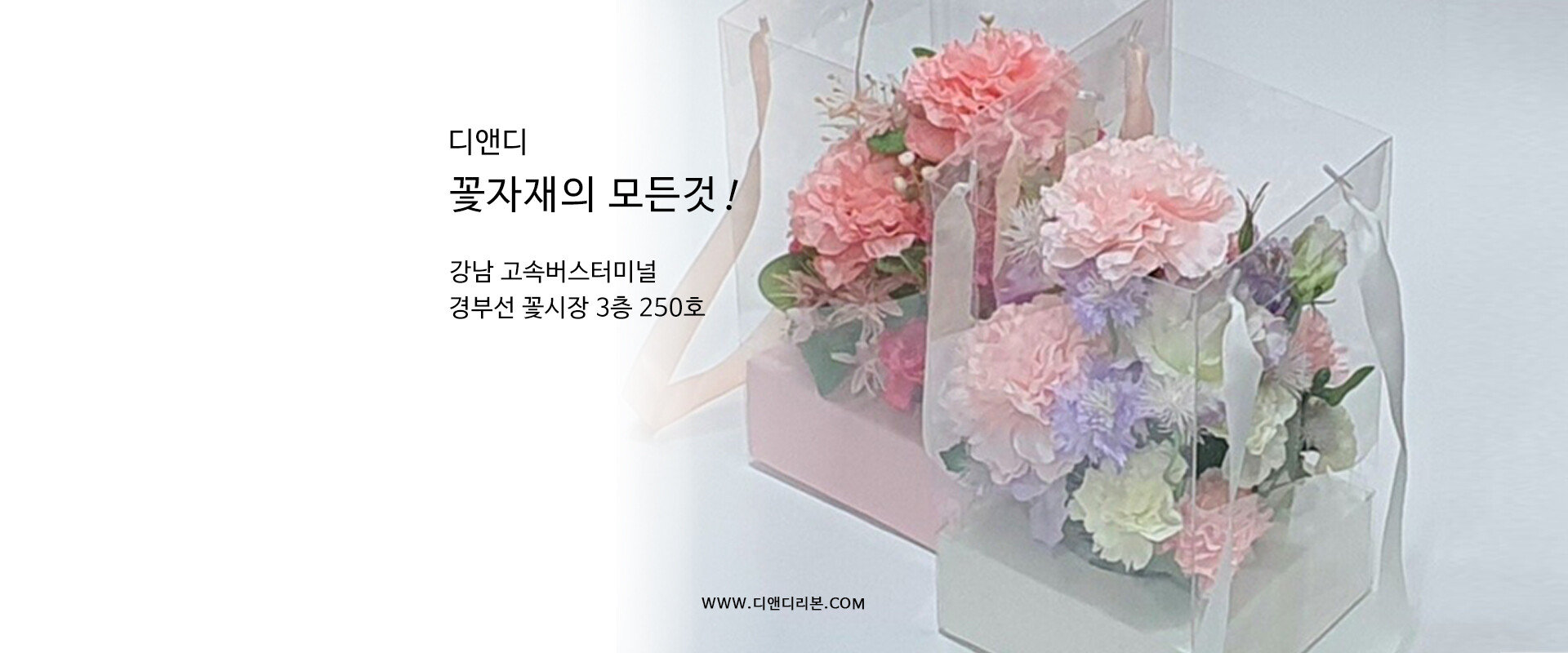 디앤디