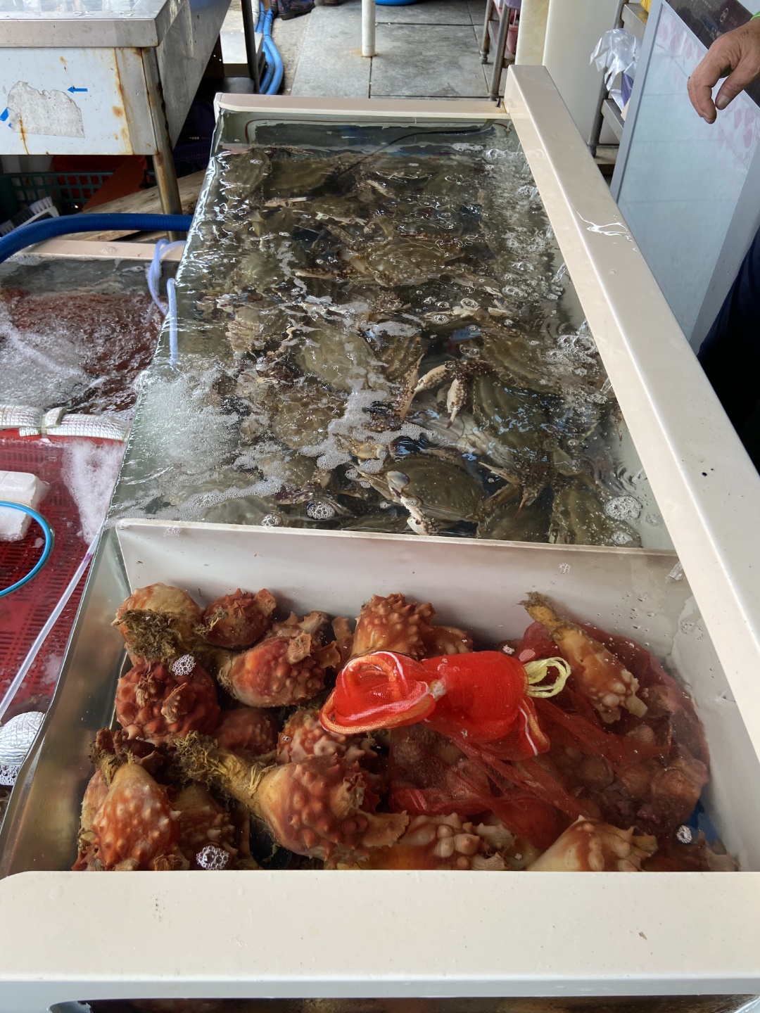 오천수산물센터 9호점