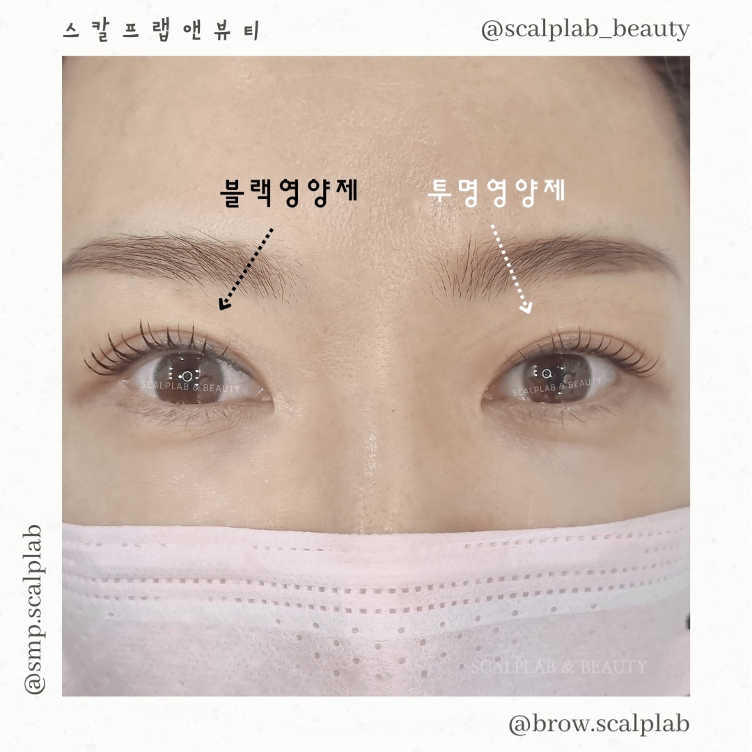 스칼프랩앤뷰티