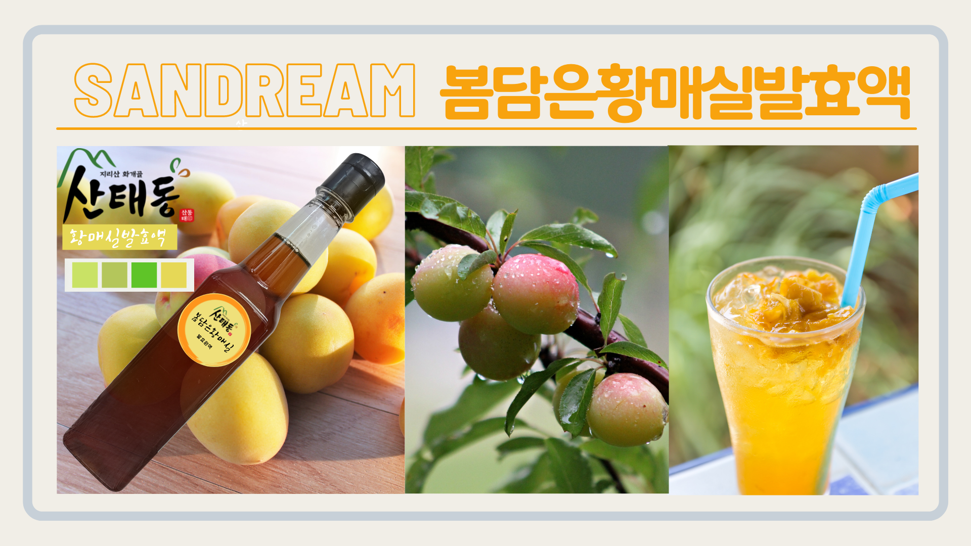 산드림365