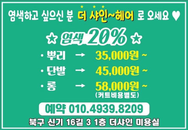 더 샤인 대표 이미지