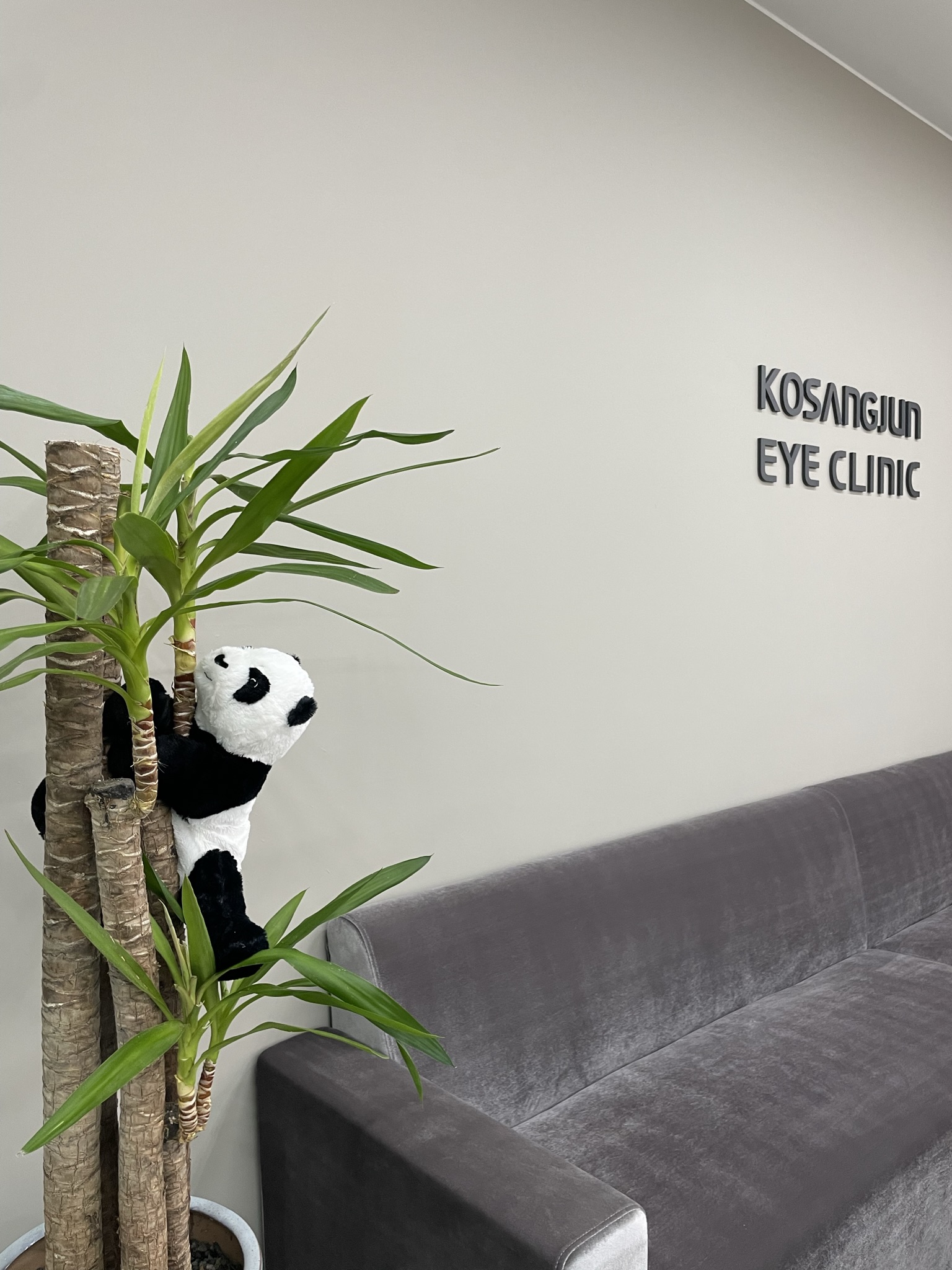 고상준안과의원 대표 이미지