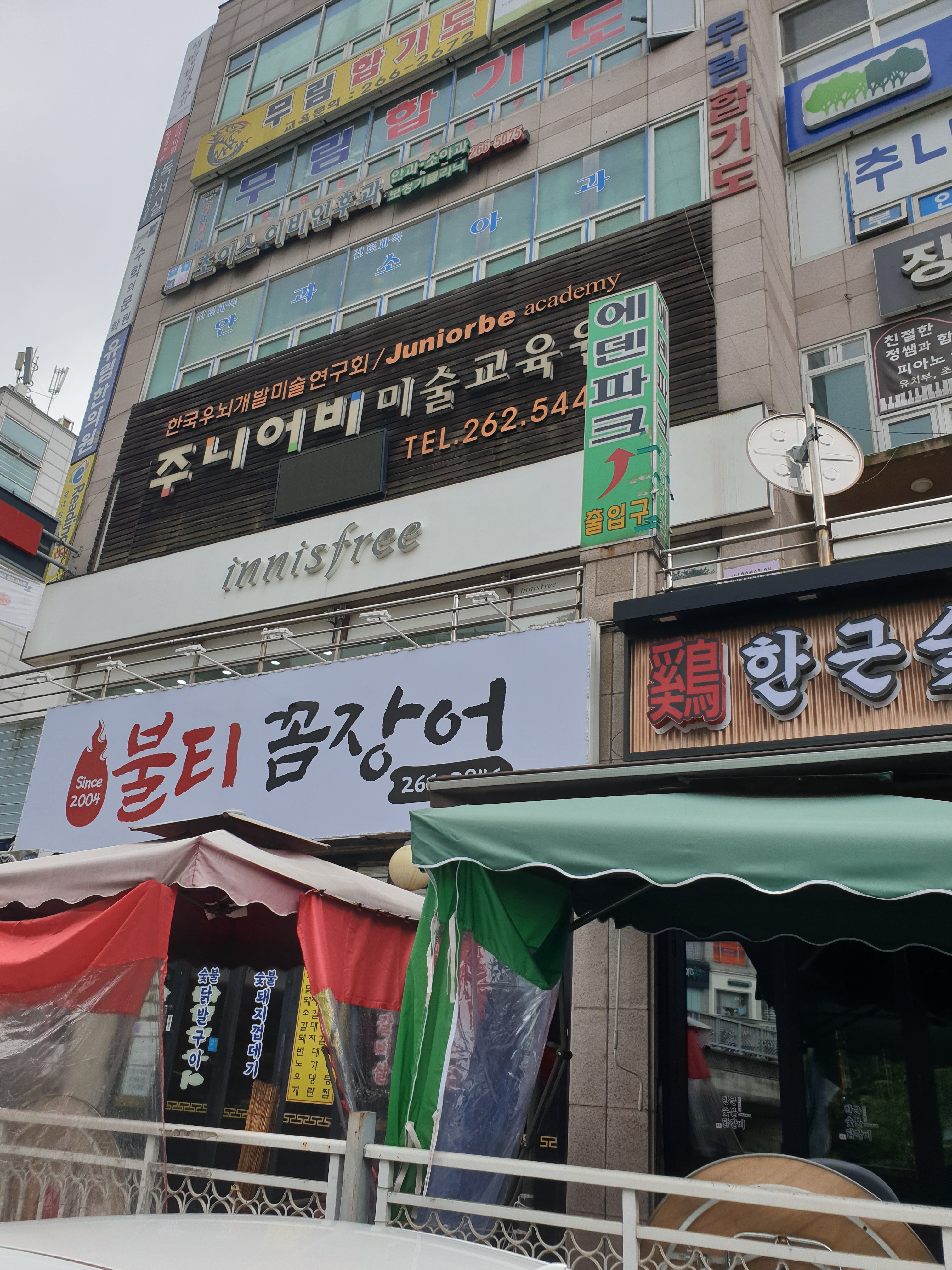 불티꼼장어