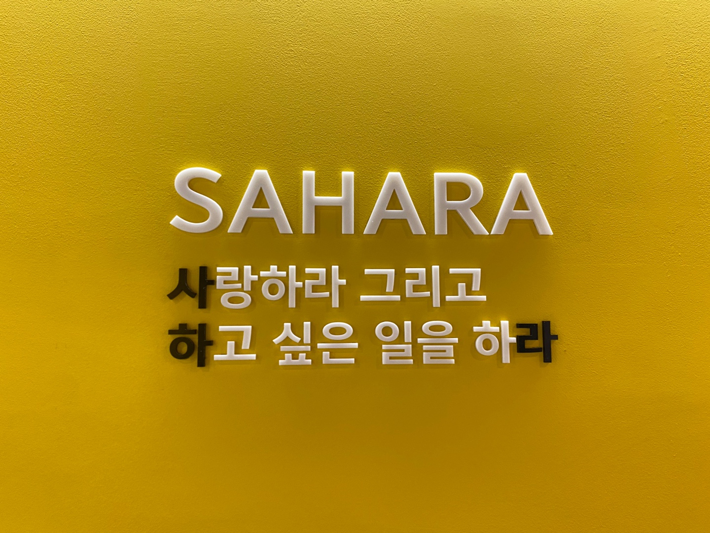 업체사진