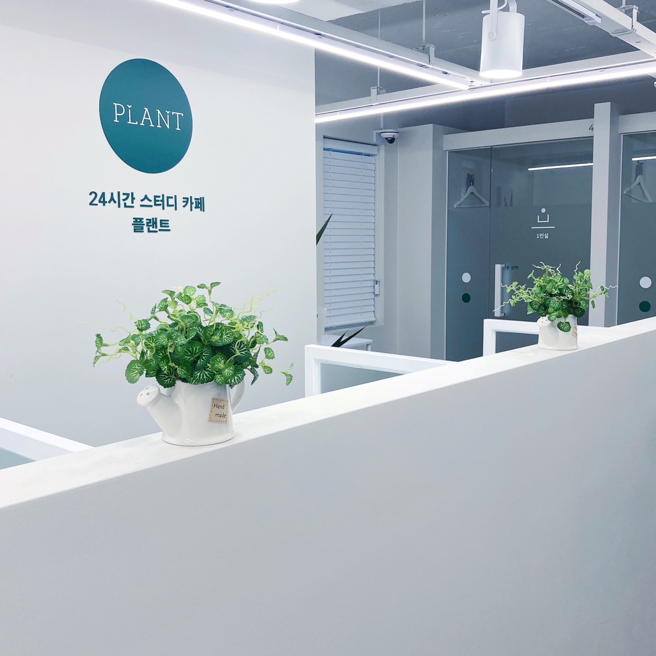 플랜트스터디카페 안락라운지 대표이미지