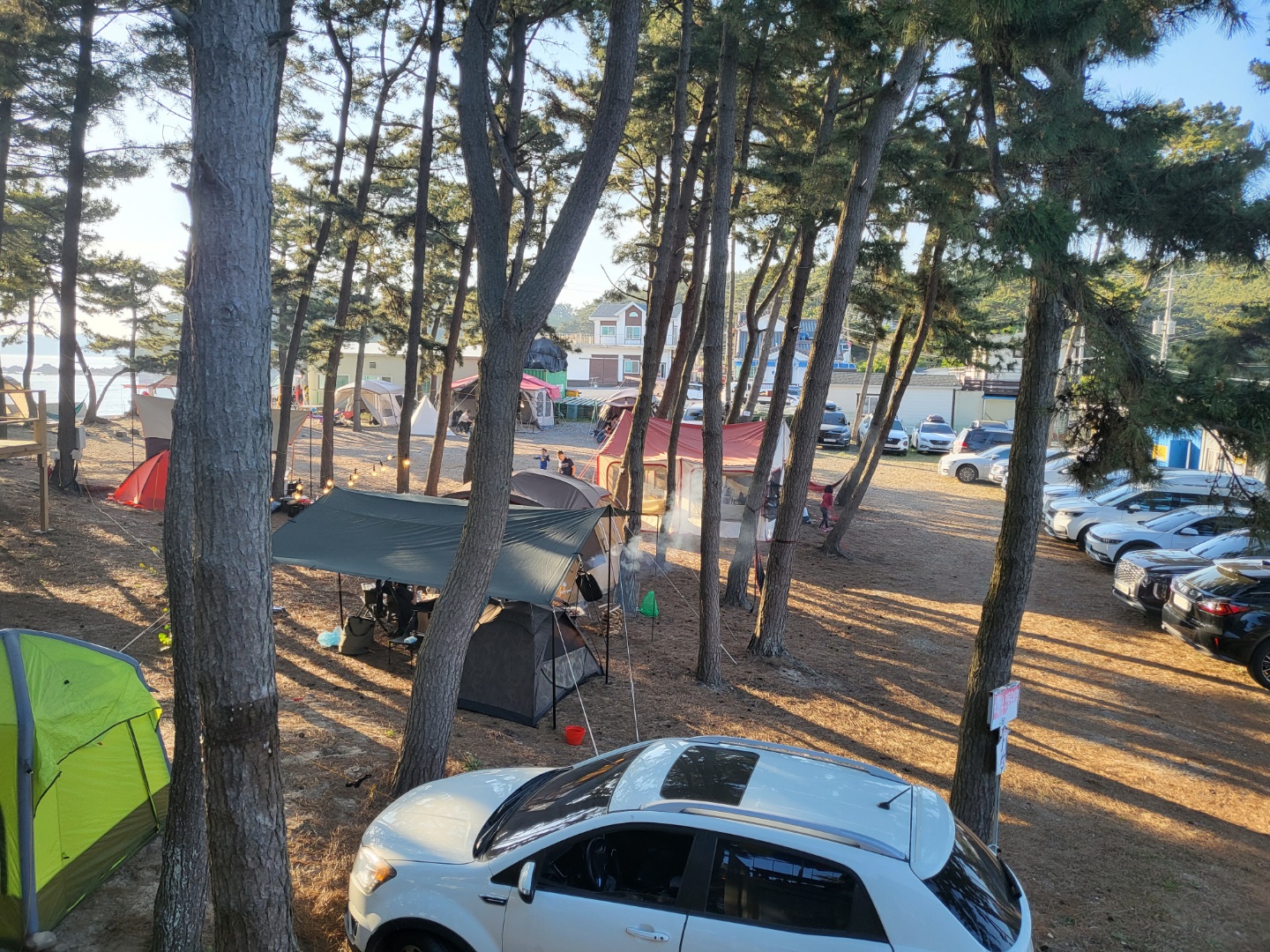 곰섬킹콩솔숲캠핑장