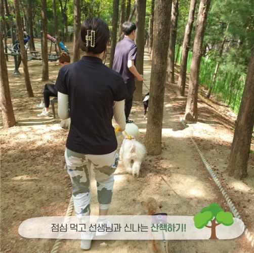 스타몽본점 강아지유치원 & 호텔 대표 이미지