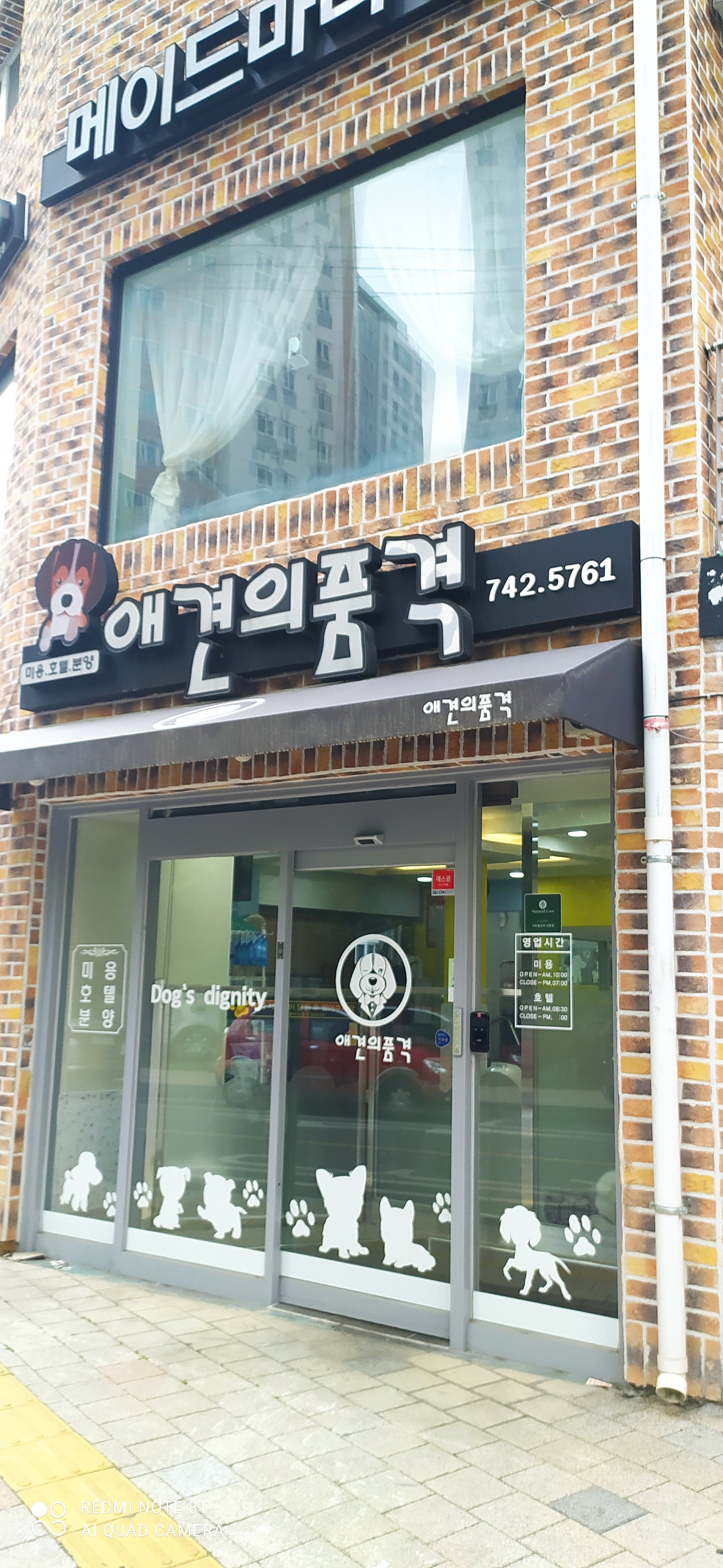애견의 품격 대표 이미지