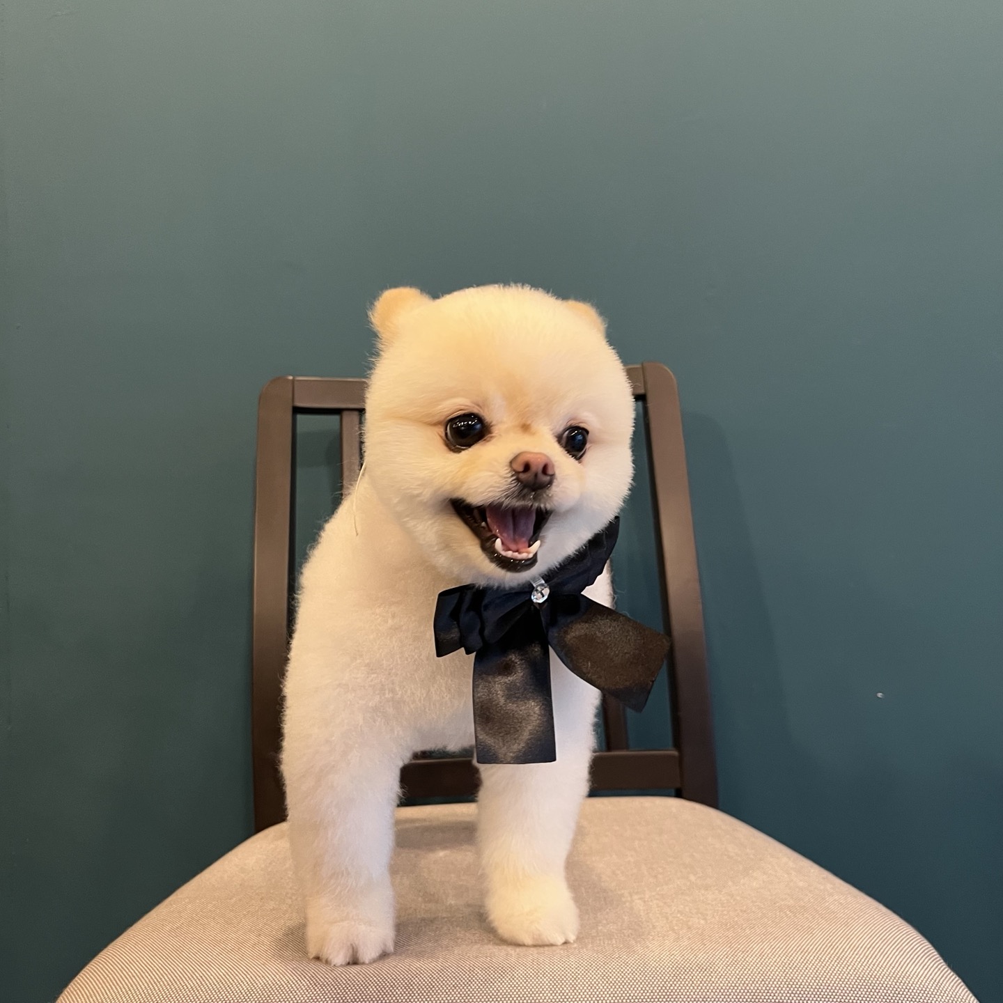 젠틀그루밍 대표 이미지