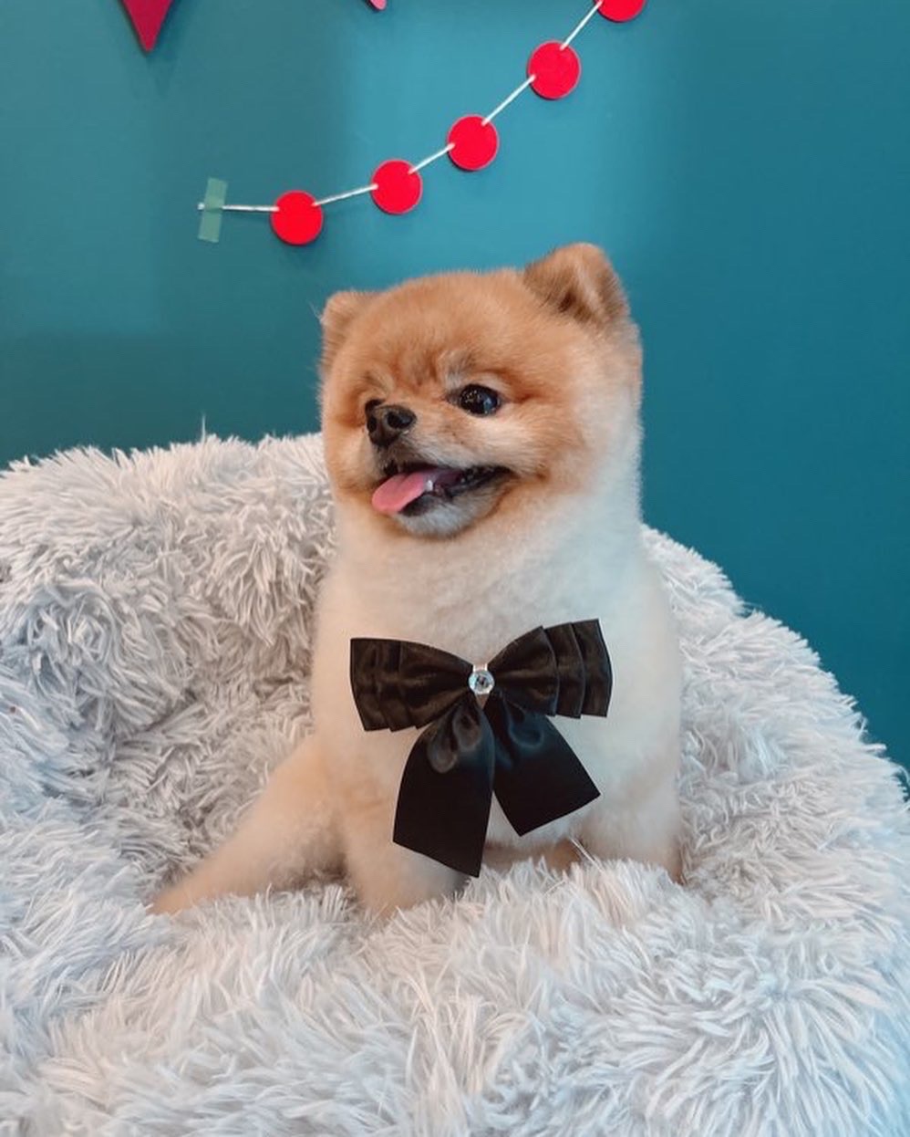 젠틀그루밍 미용 이미지