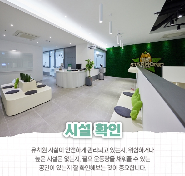 스타몽본점 강아지유치원 대표 이미지