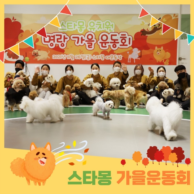 스타몽 강아지유치원&애견호텔&애견미용 대표 이미지