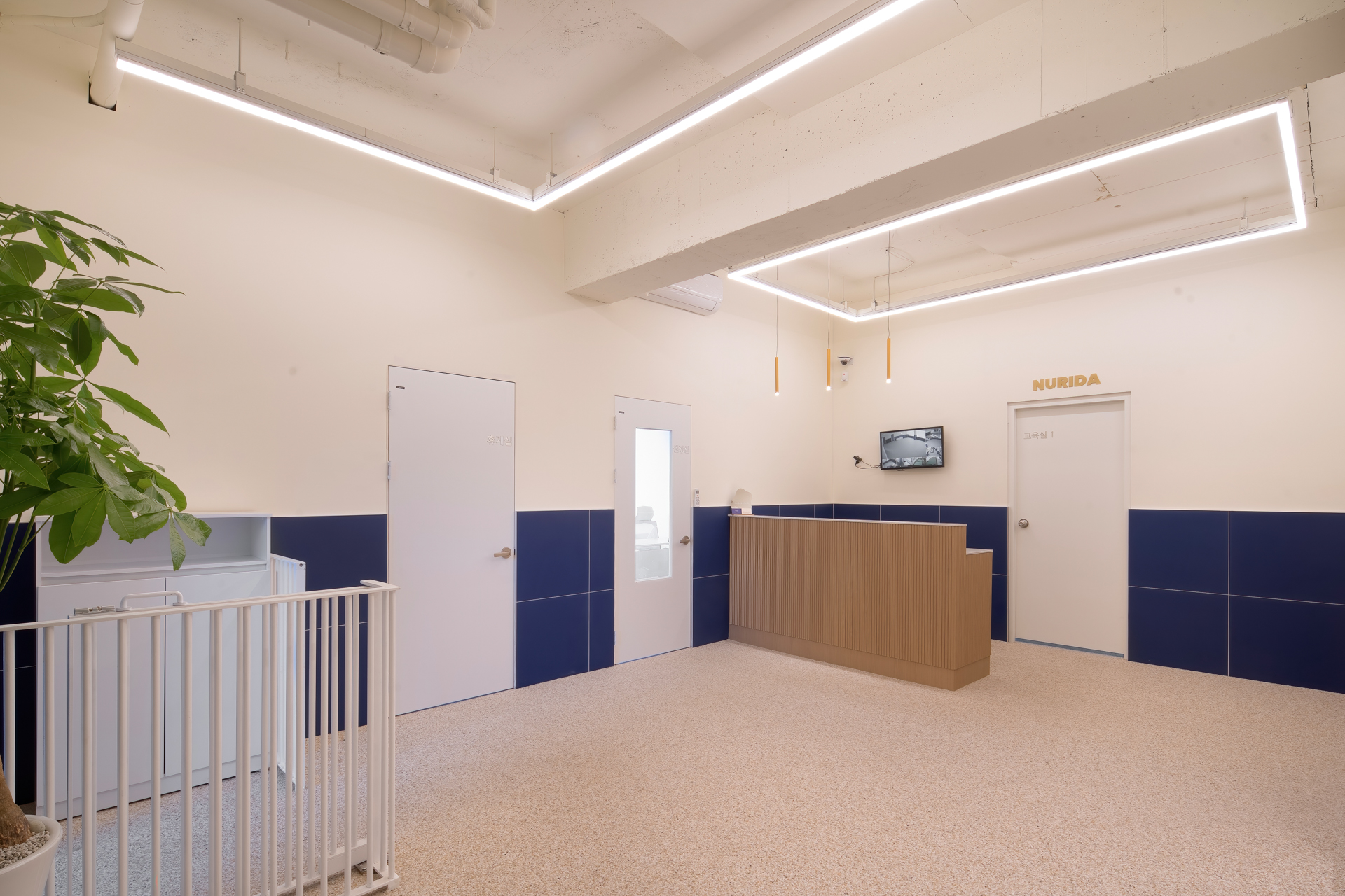 누리다 대형견 호텔 대표 이미지