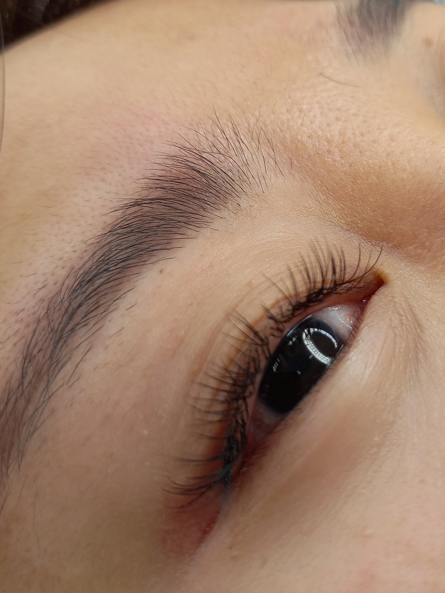 올림래쉬 대표 이미지