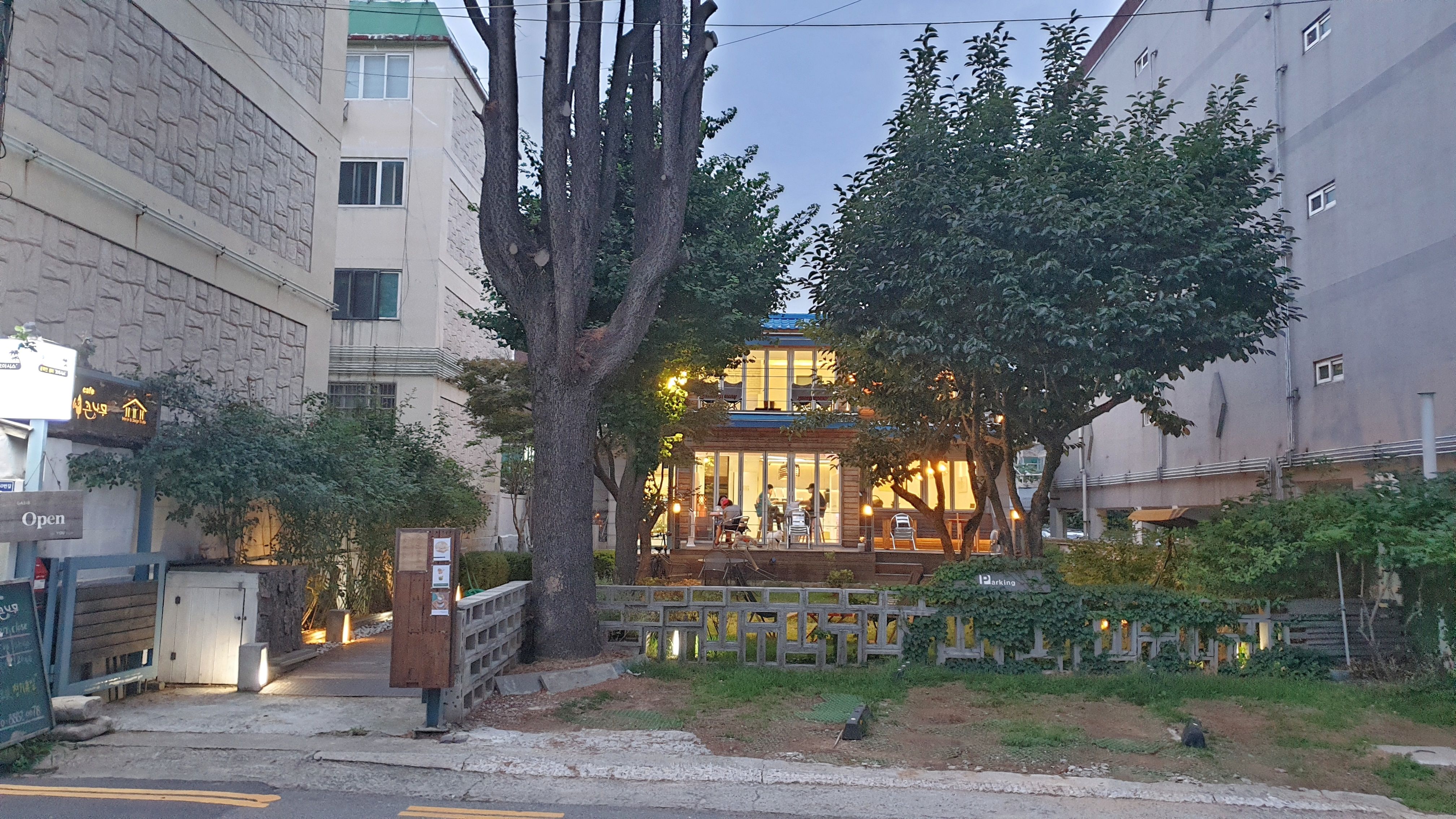 카페 더 큰나무 주안점