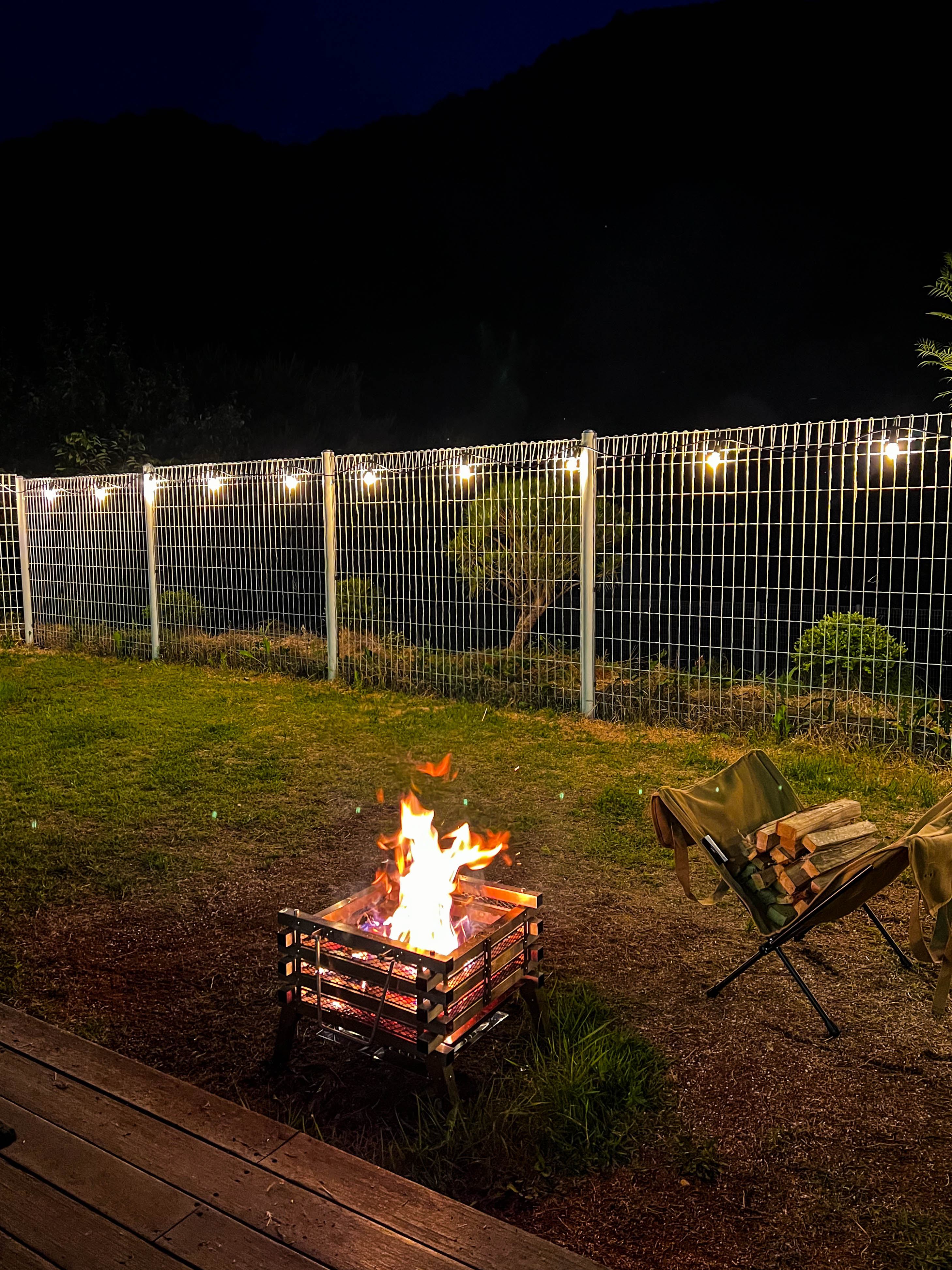 스테이위드독 대표 이미지