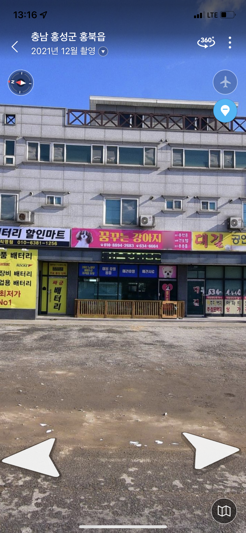 꿈꾸는 강아지 대표 이미지