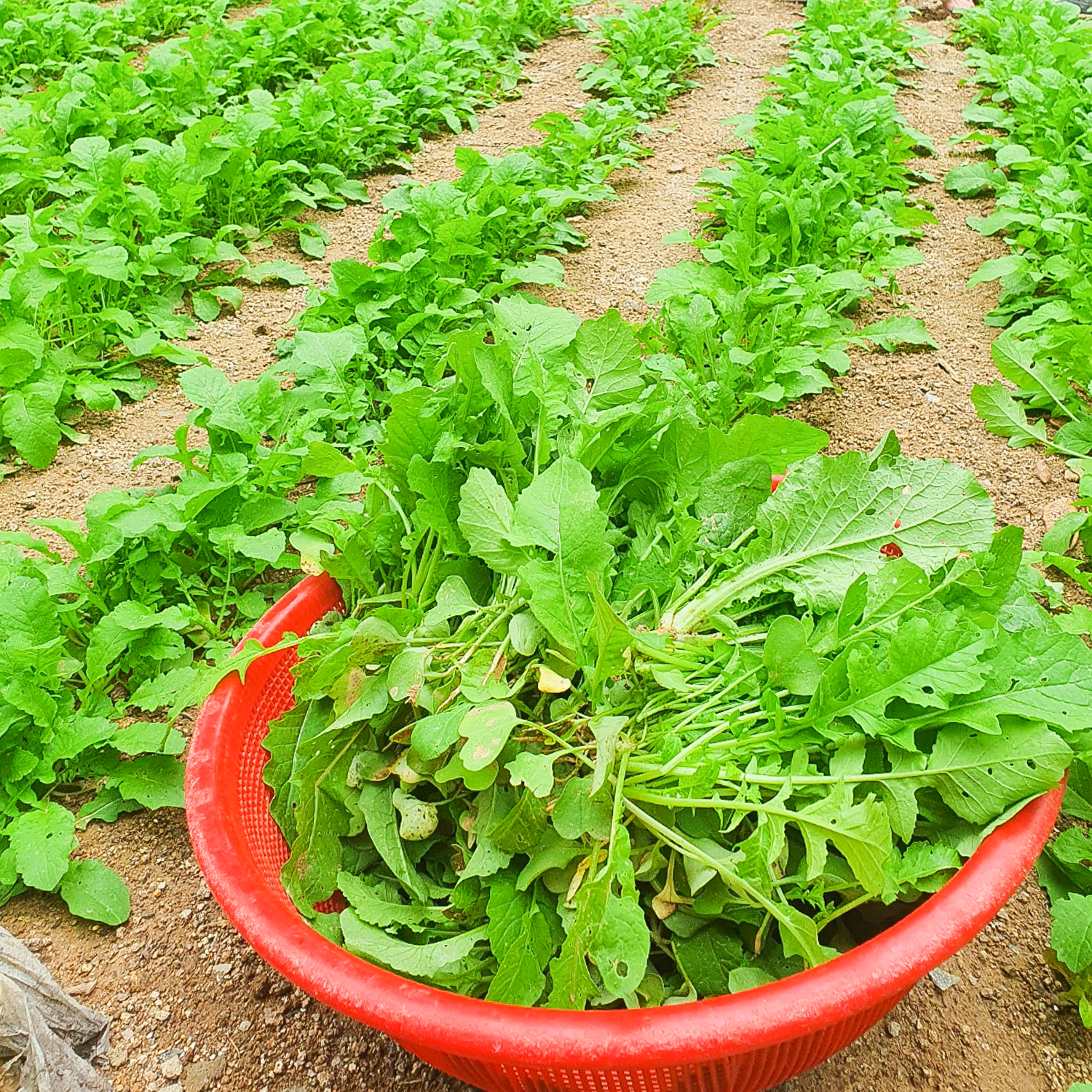포도밭식당 대표 이미지