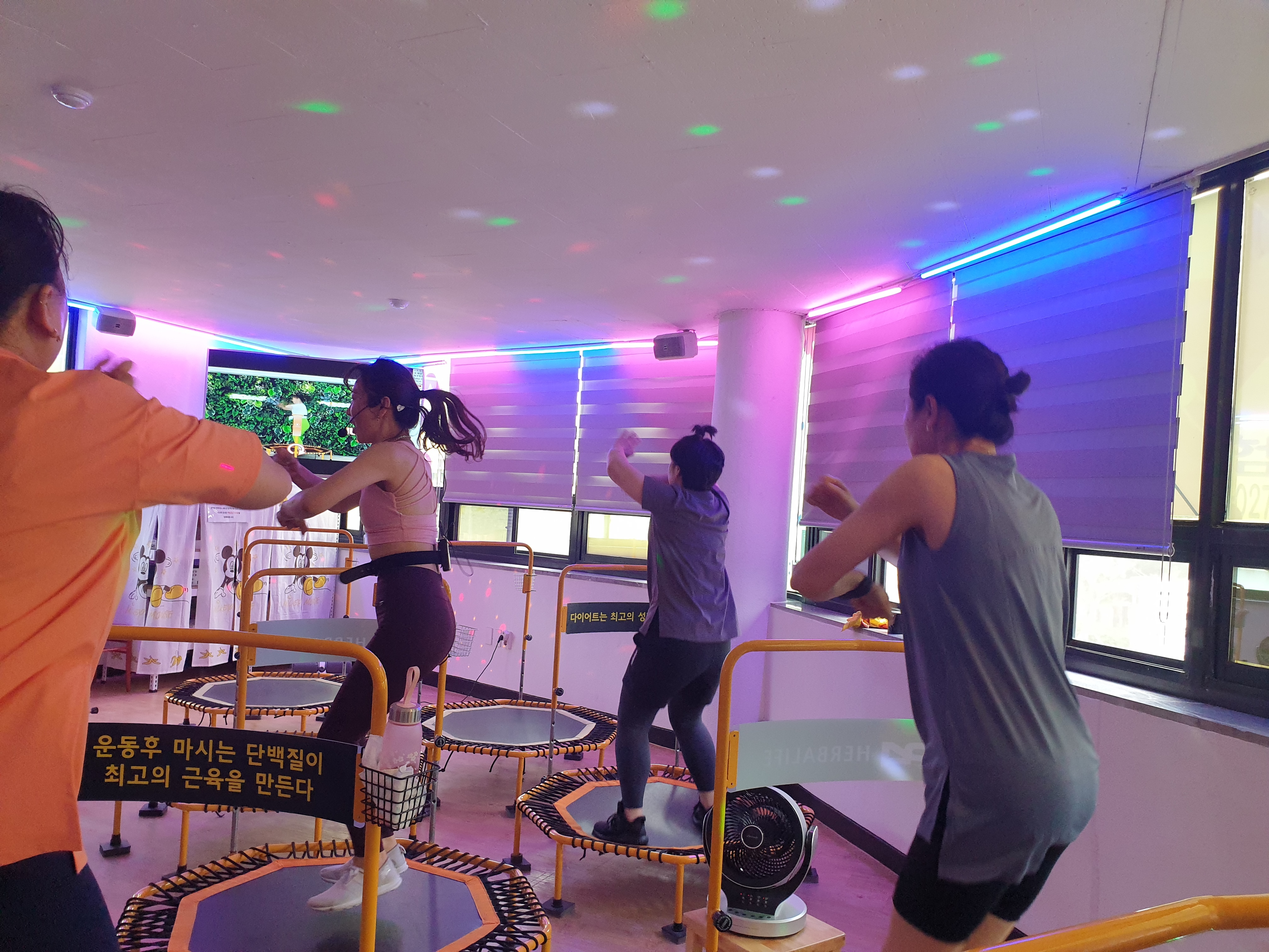 허니점핑다이어트 대표 이미지