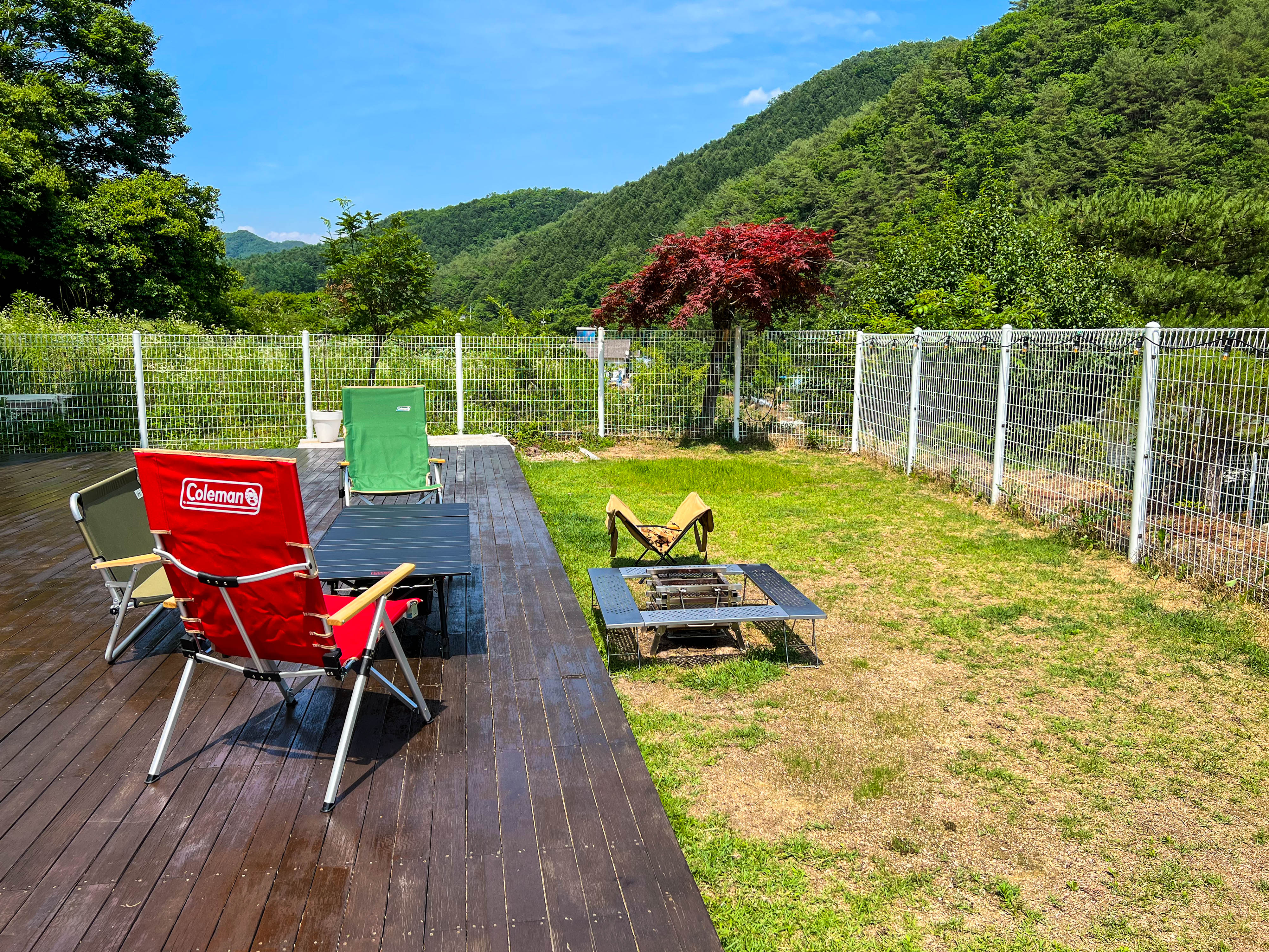 스테이위드독 대표 이미지