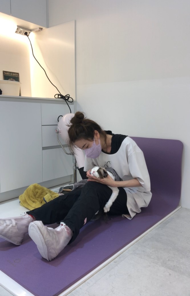 꽃냥 고양이미용실 대표 이미지