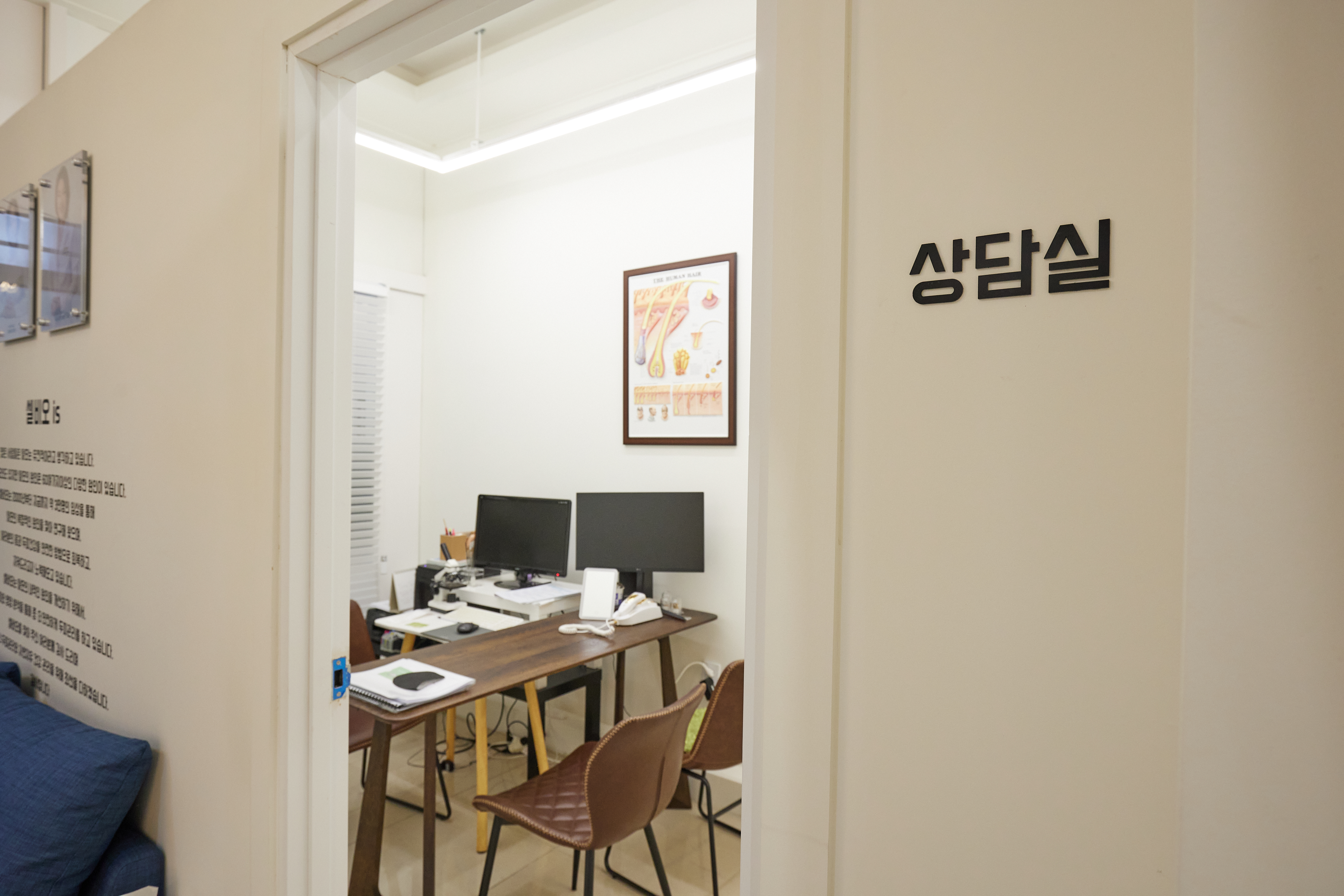 셀비오 분당점 이미지