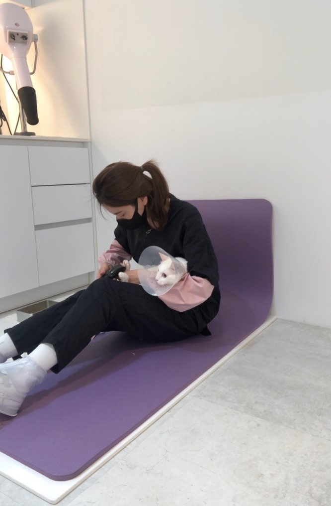 꽃냥 고양이미용실 대표 이미지