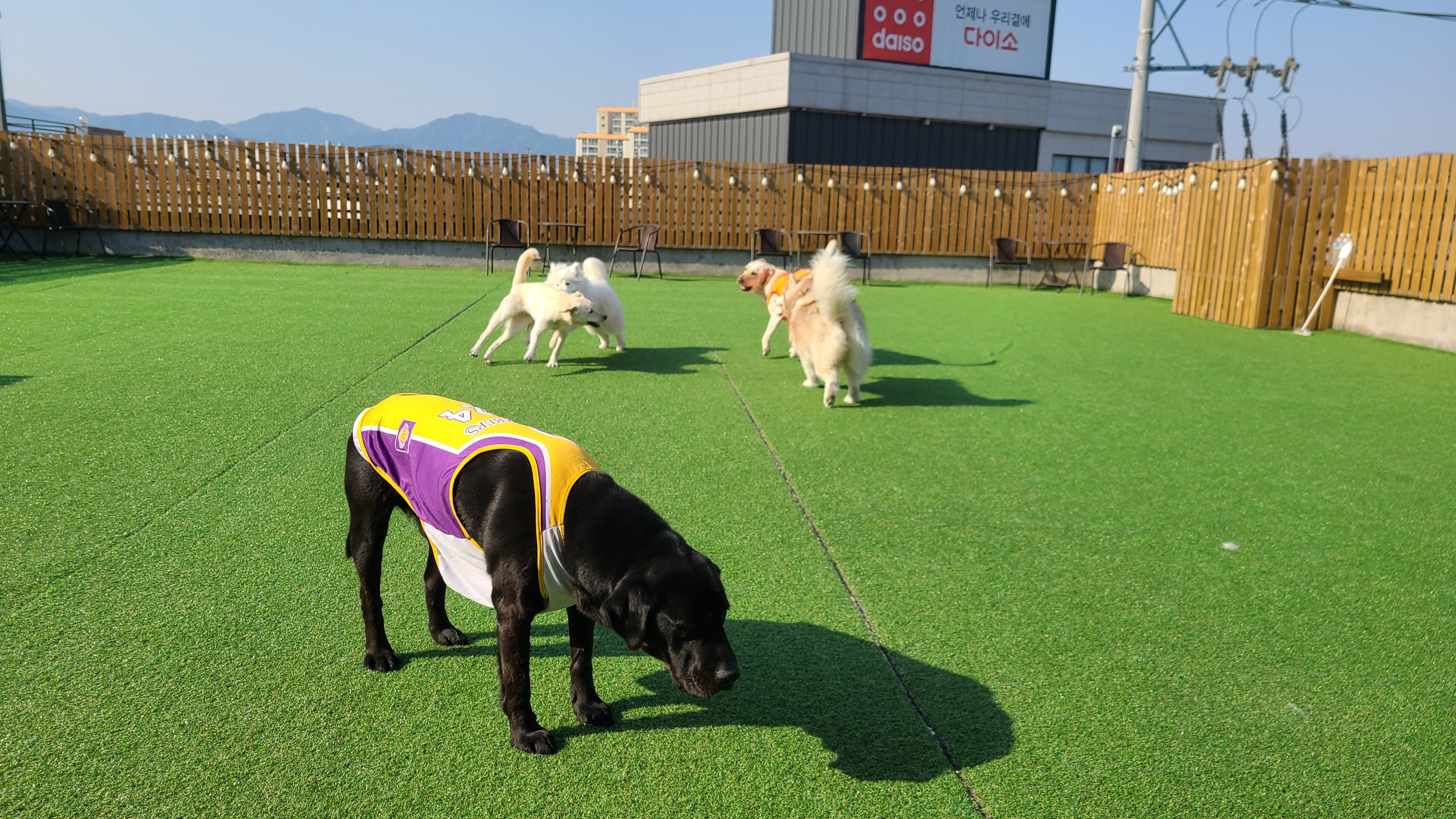 구독 대표 이미지