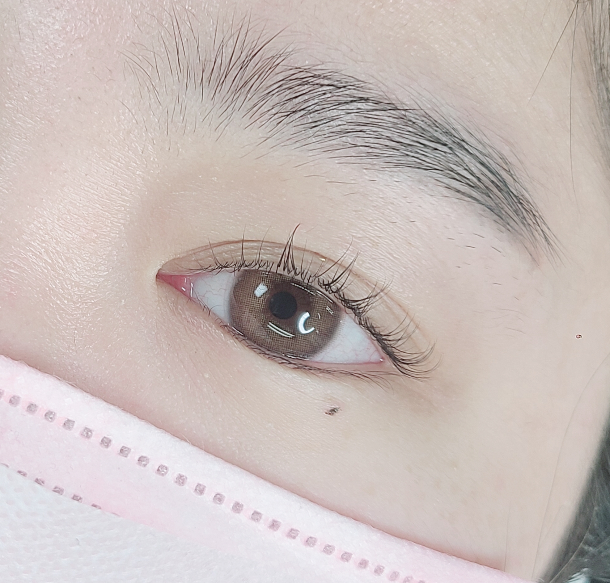 살롱 드 브로우