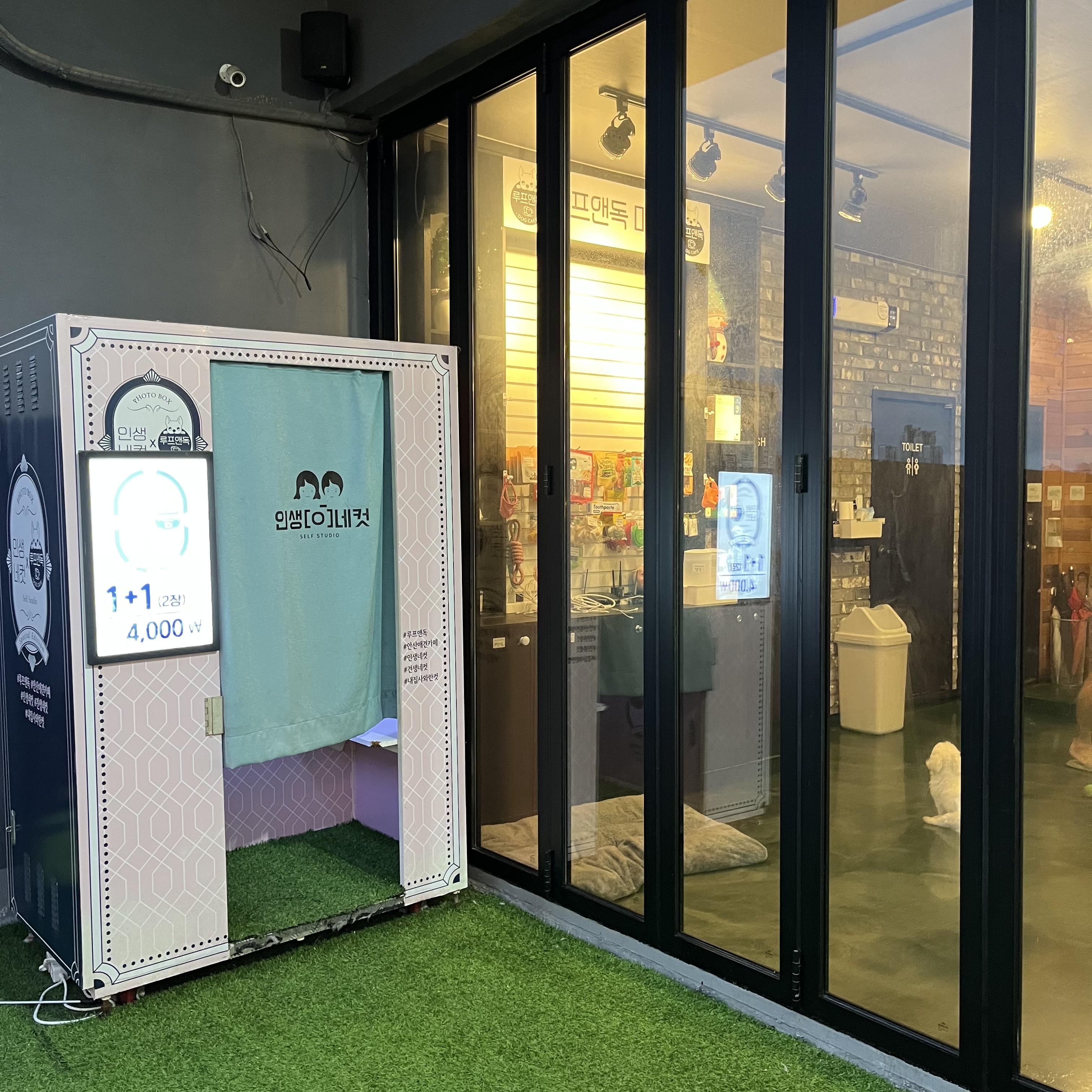 루프앤독 대표 이미지