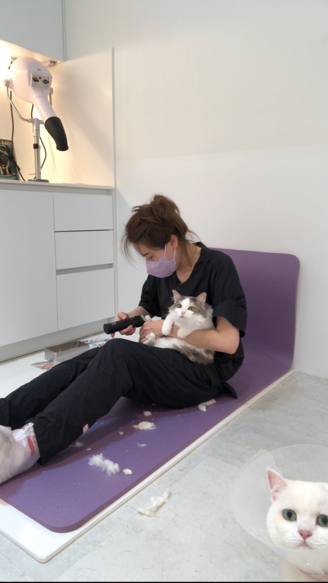 꽃냥 고양이미용실 대표 이미지