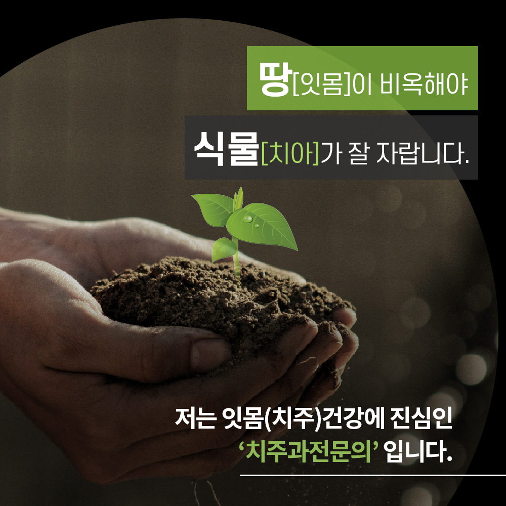 서울봄플란트치과의원 방이
