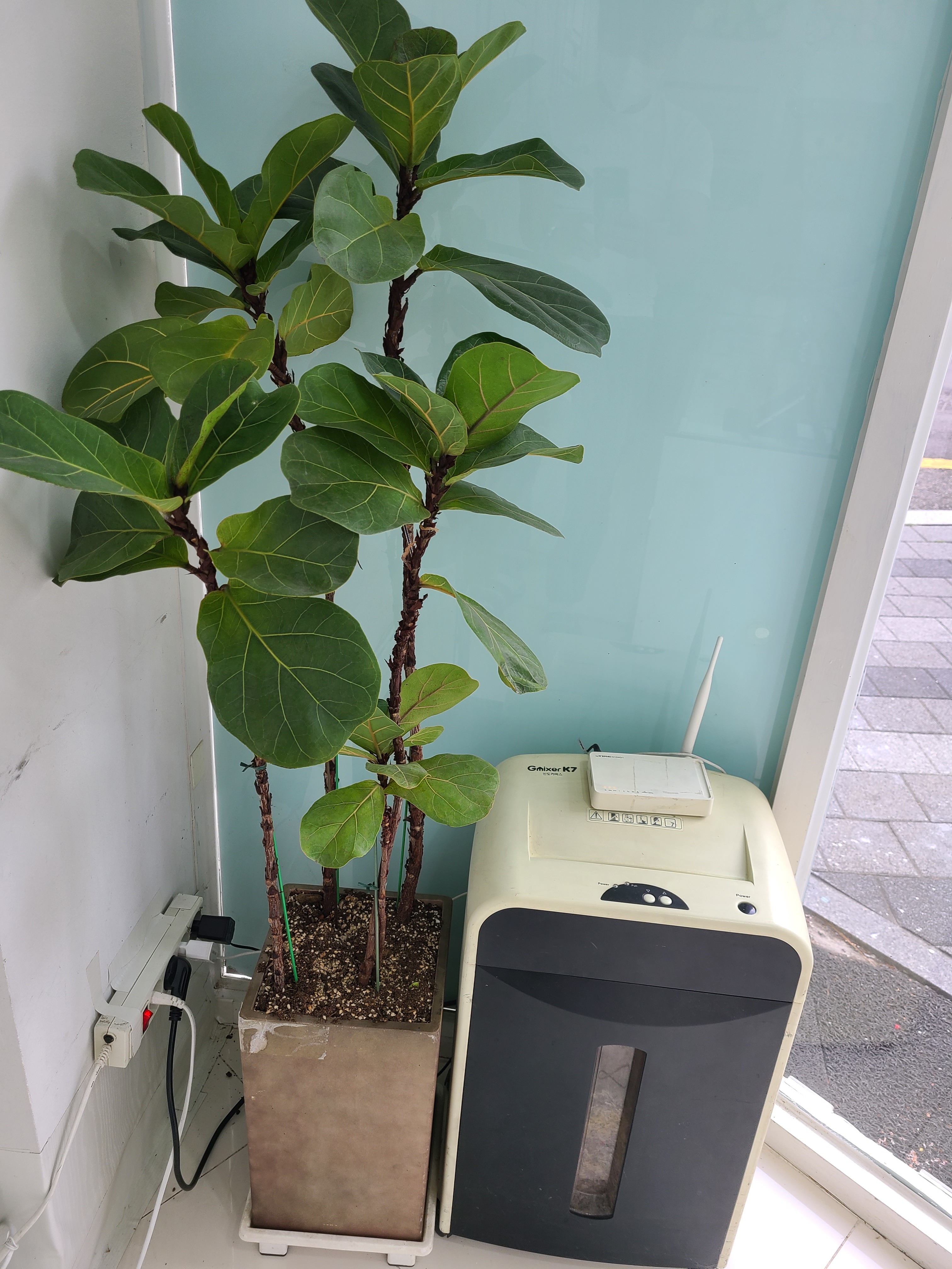 뽀너스통신 중앙점