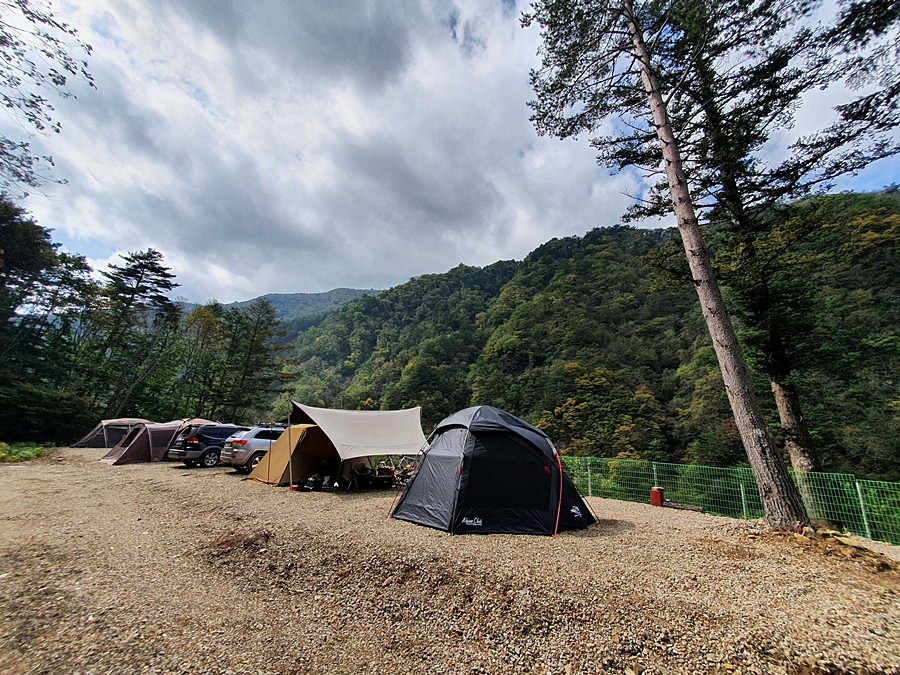 바람부리별밤캠핑장 관광농원