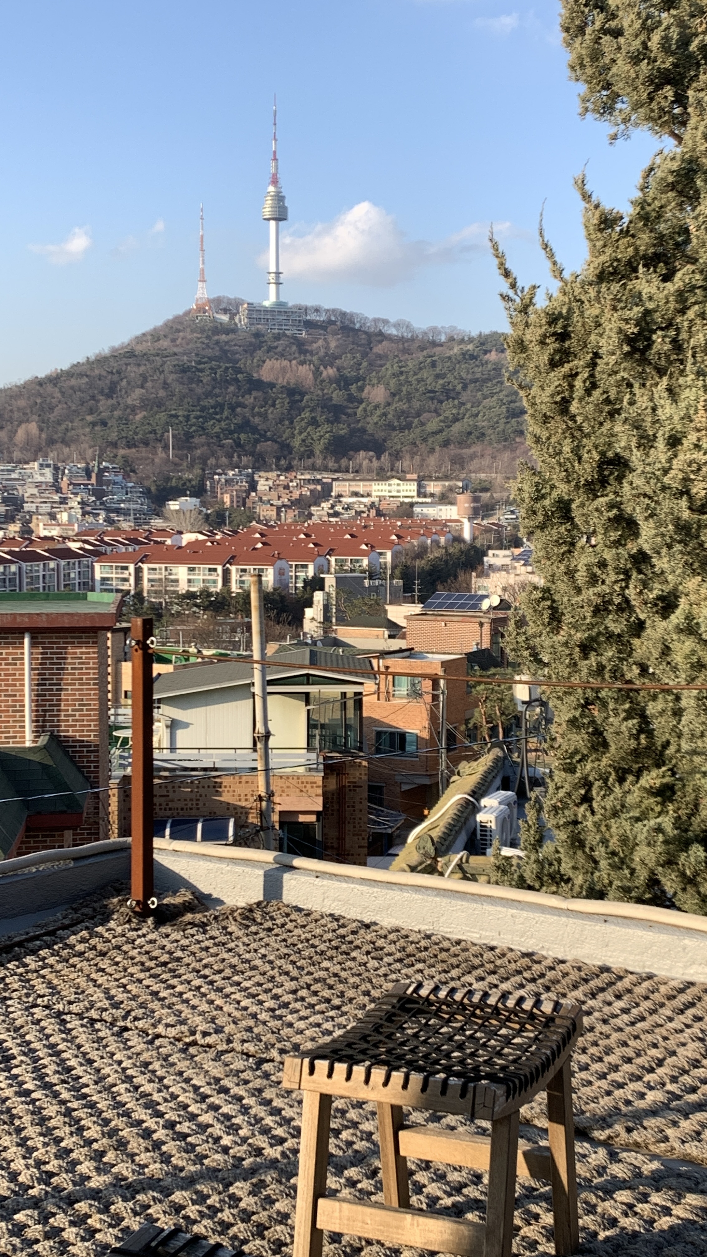 밀밀아 대표 이미지